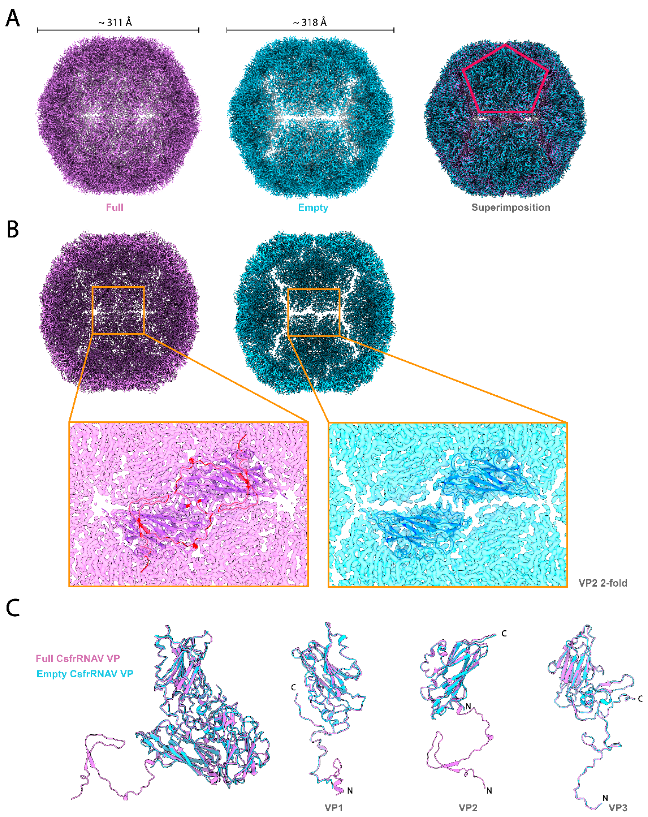 Viruses 14 02369 g002 Viruses 14 02369 g002