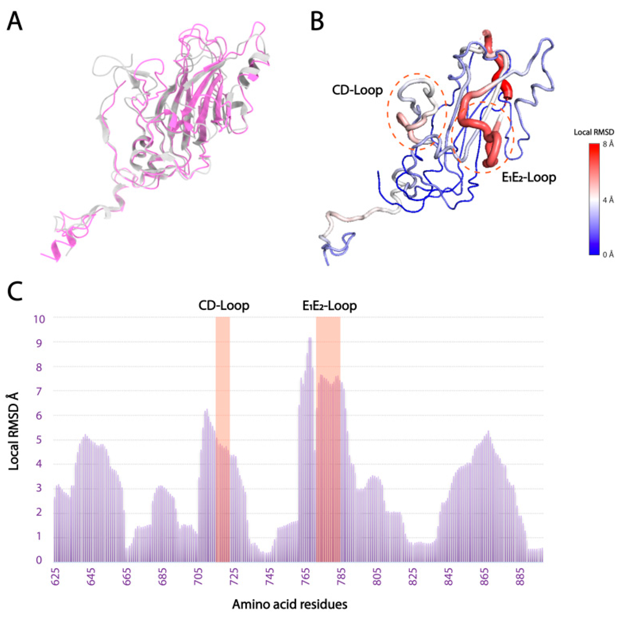 Viruses 14 02369 g003 Viruses 14 02369 g003
