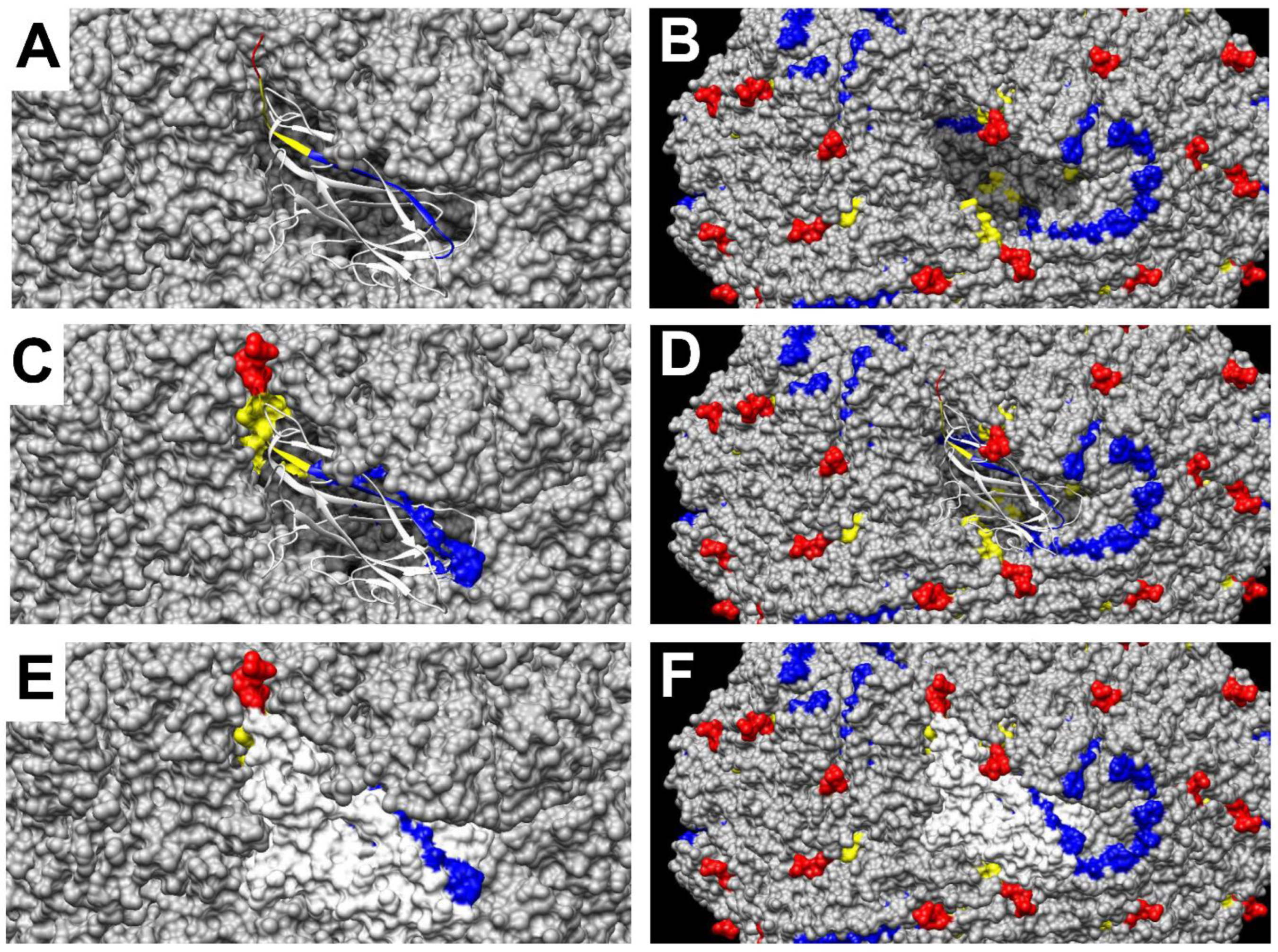 Viruses 14 02373 g003 Viruses 14 02373 g003