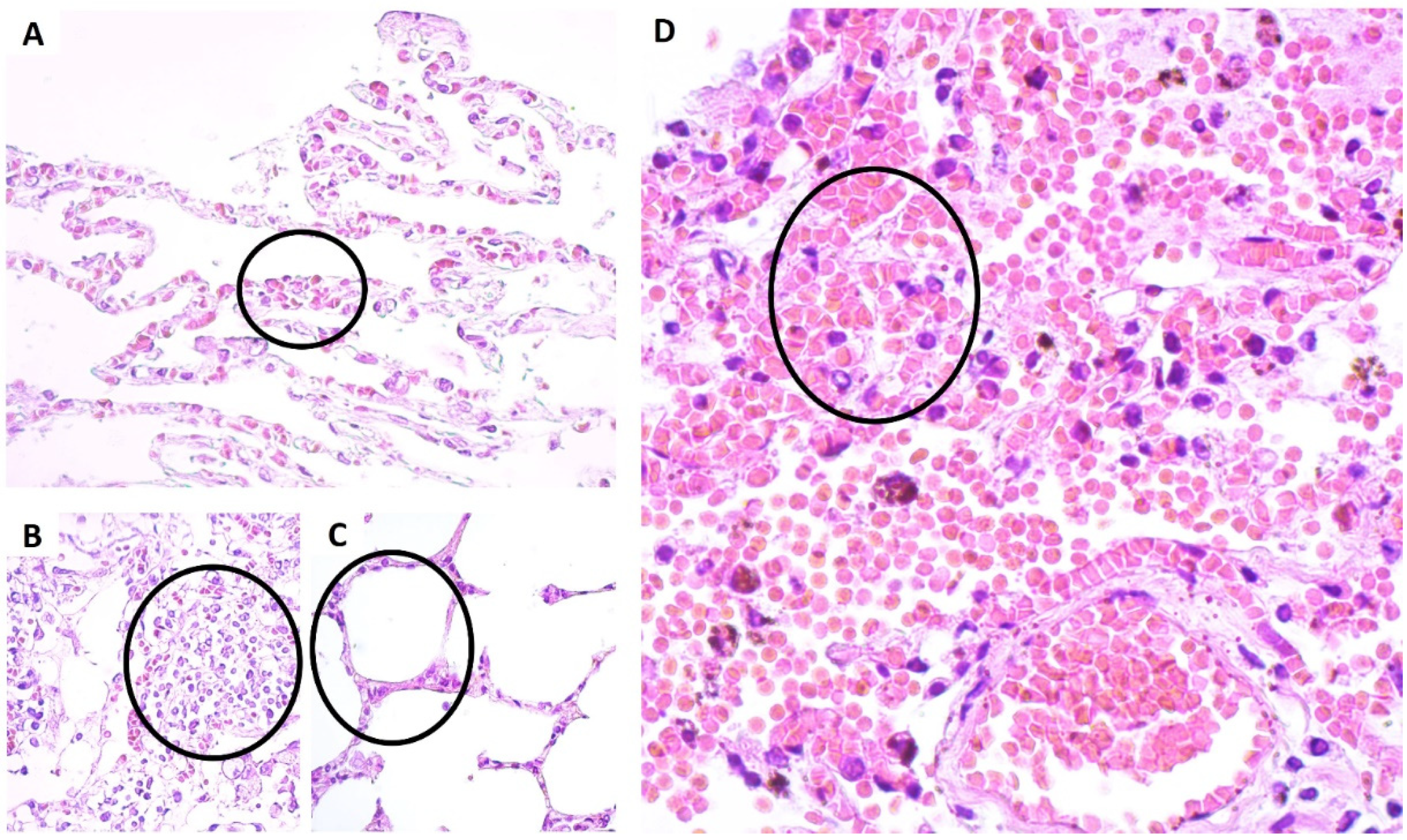 Viruses 14 02379 g001
