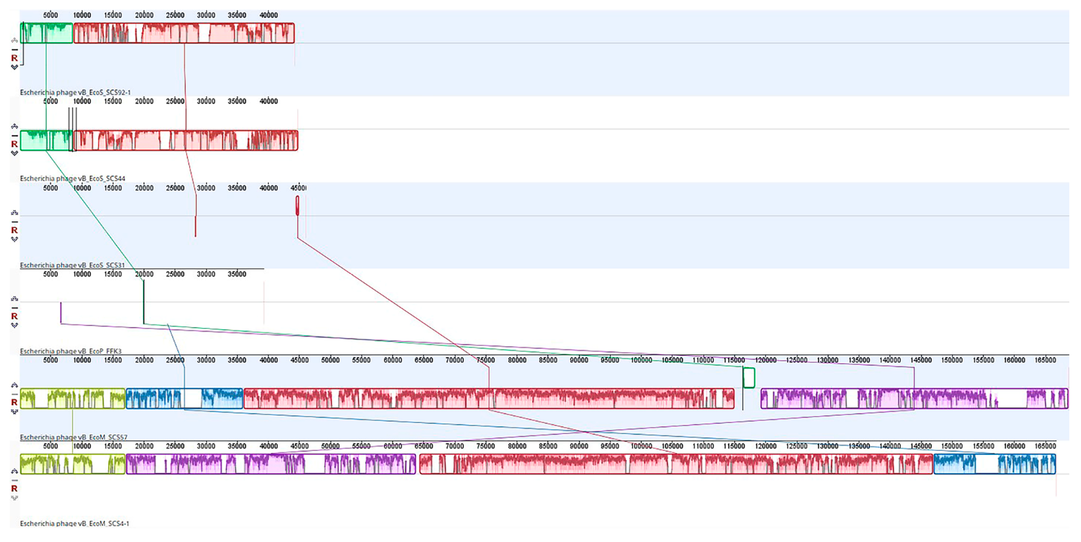 Viruses 14 02381 g005 Viruses 14 02381 g005