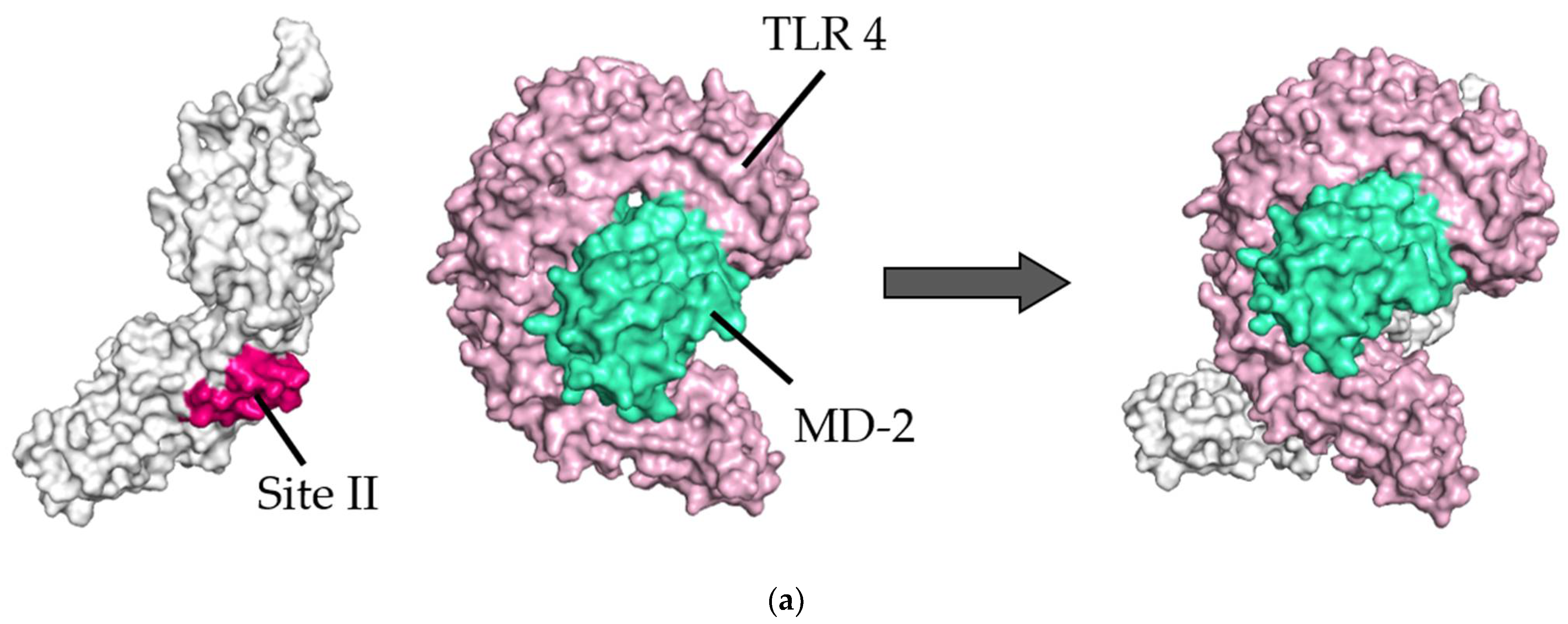 Viruses 14 02382 g002a