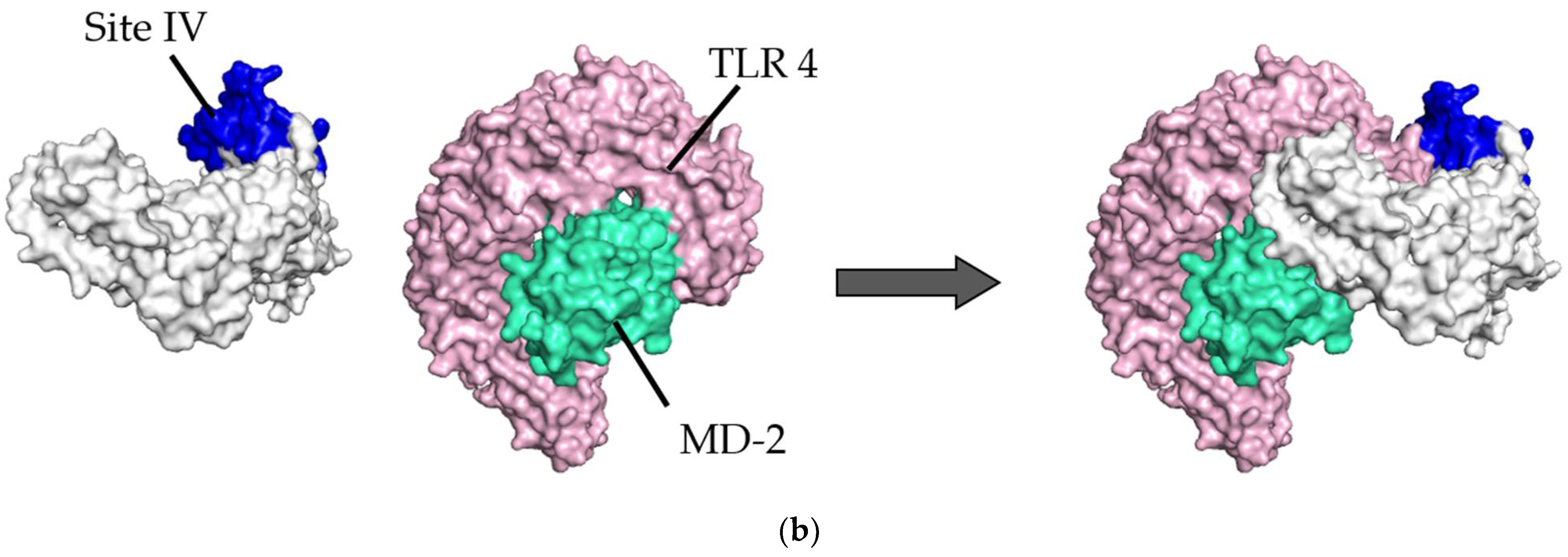 Viruses 14 02382 g002b
