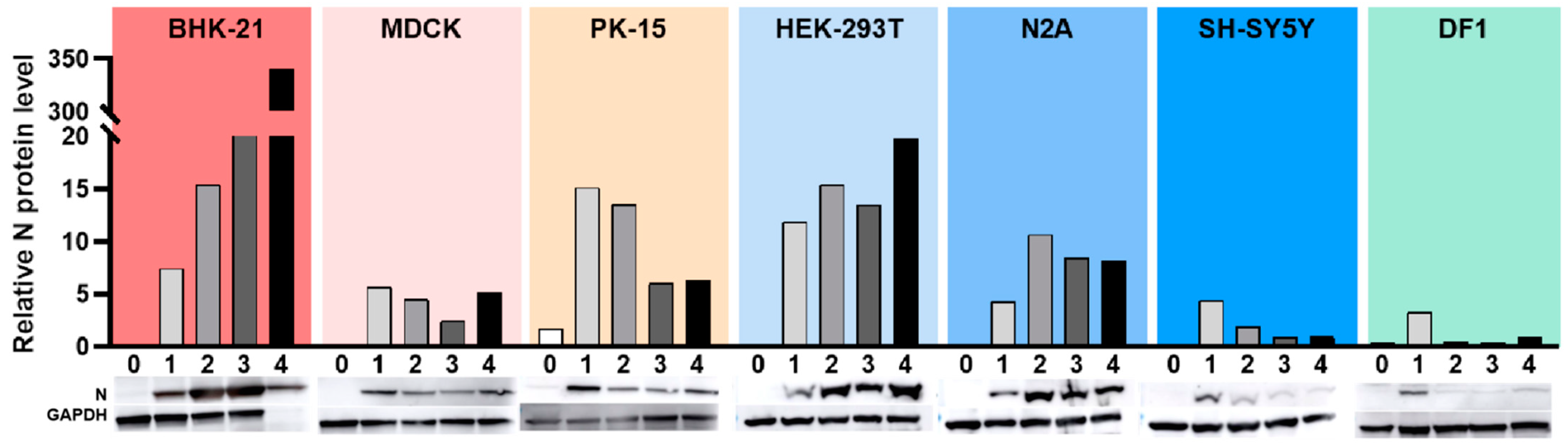 Viruses 14 02383 g004