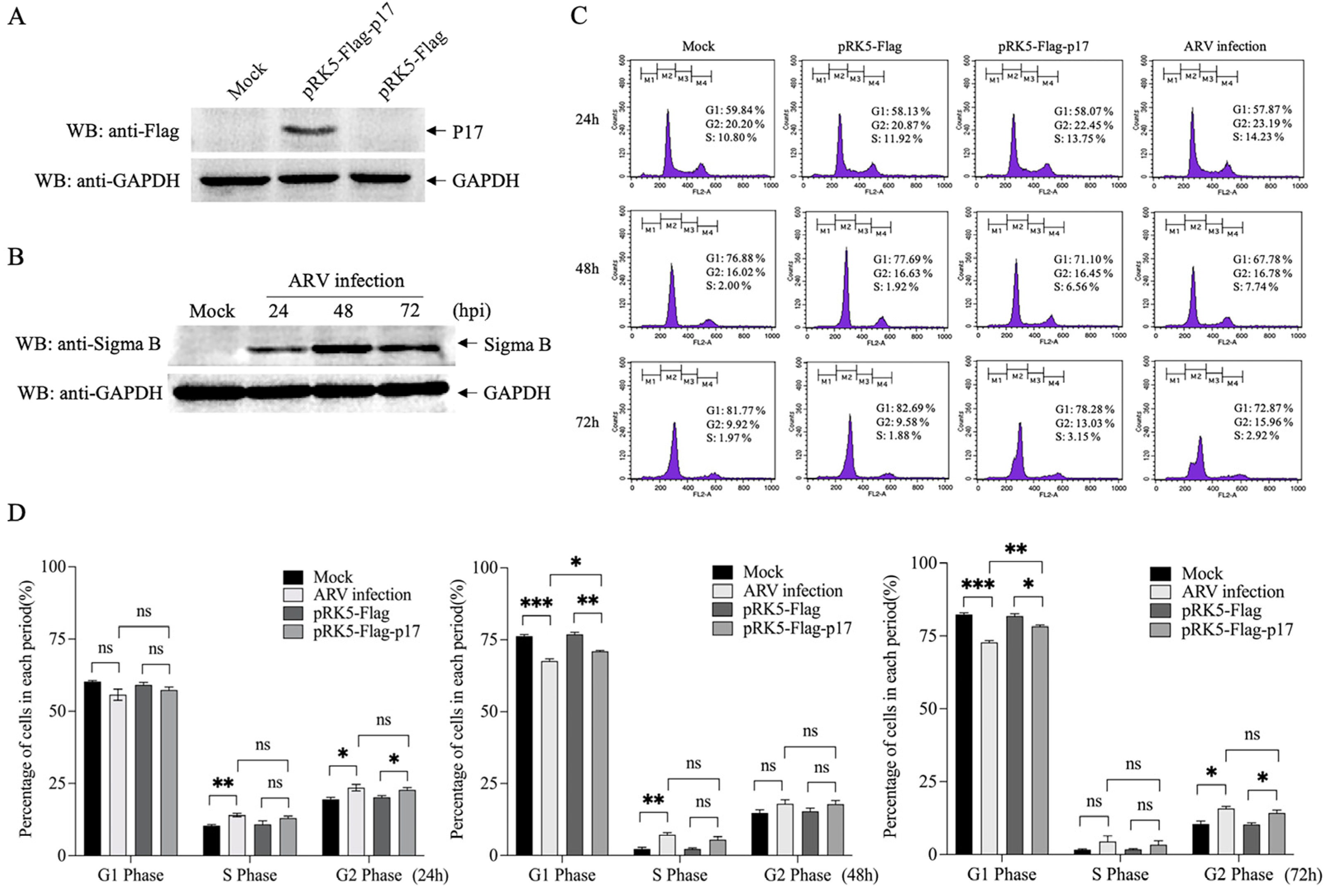 Viruses 14 02385 g001
