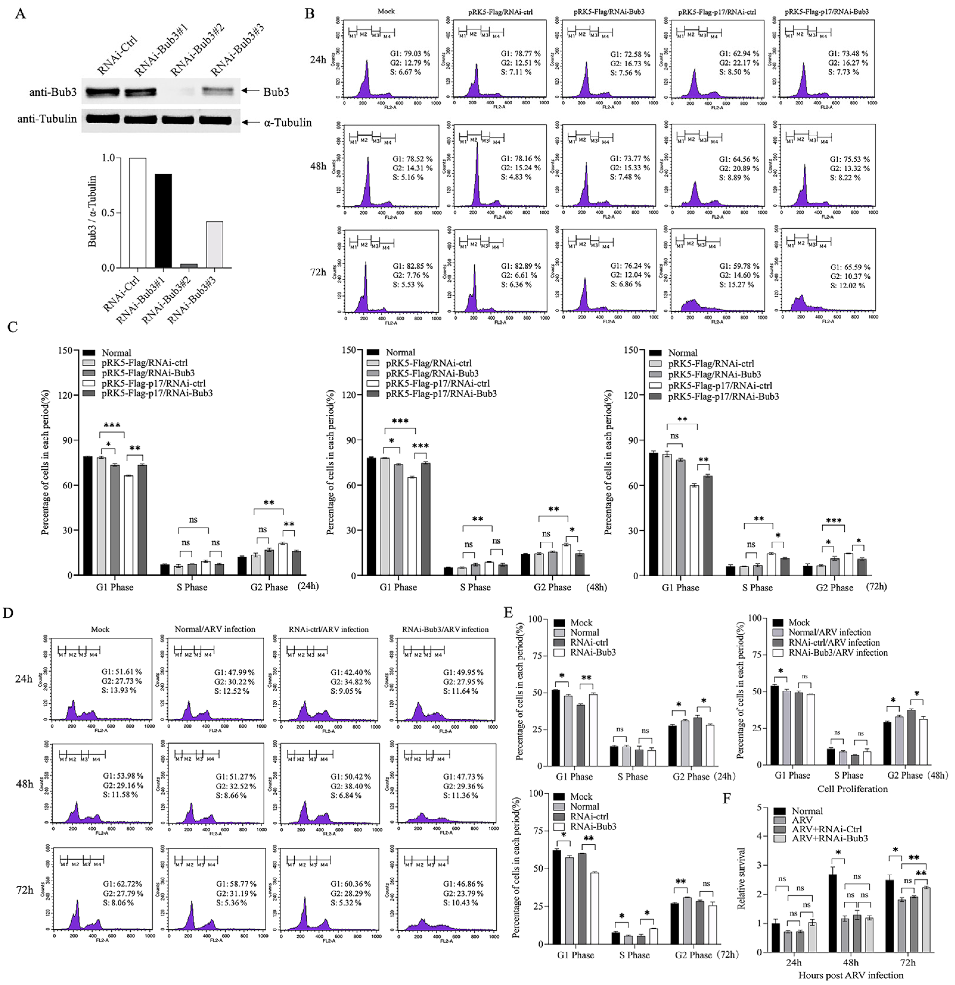 Viruses 14 02385 g004