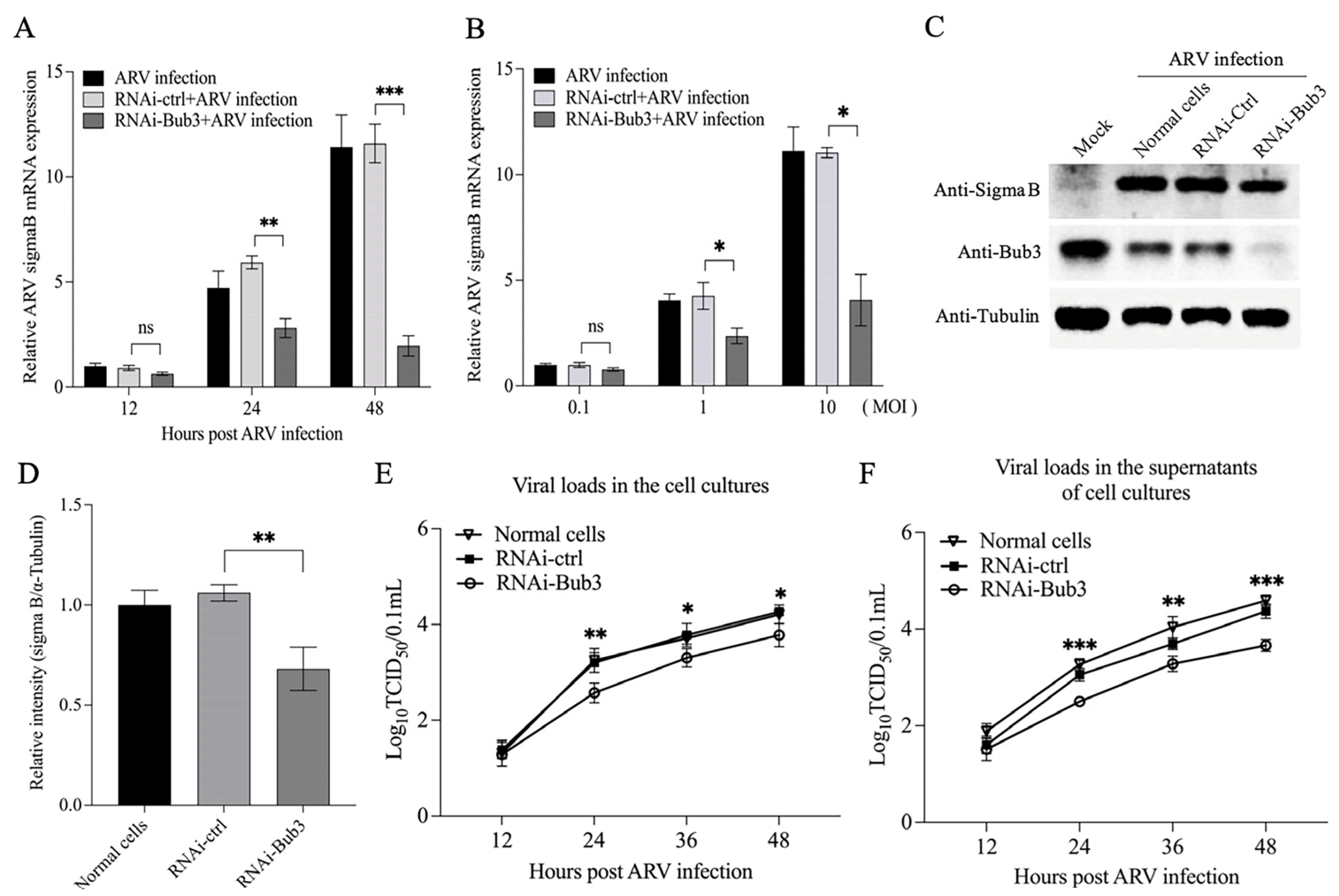 Viruses 14 02385 g006