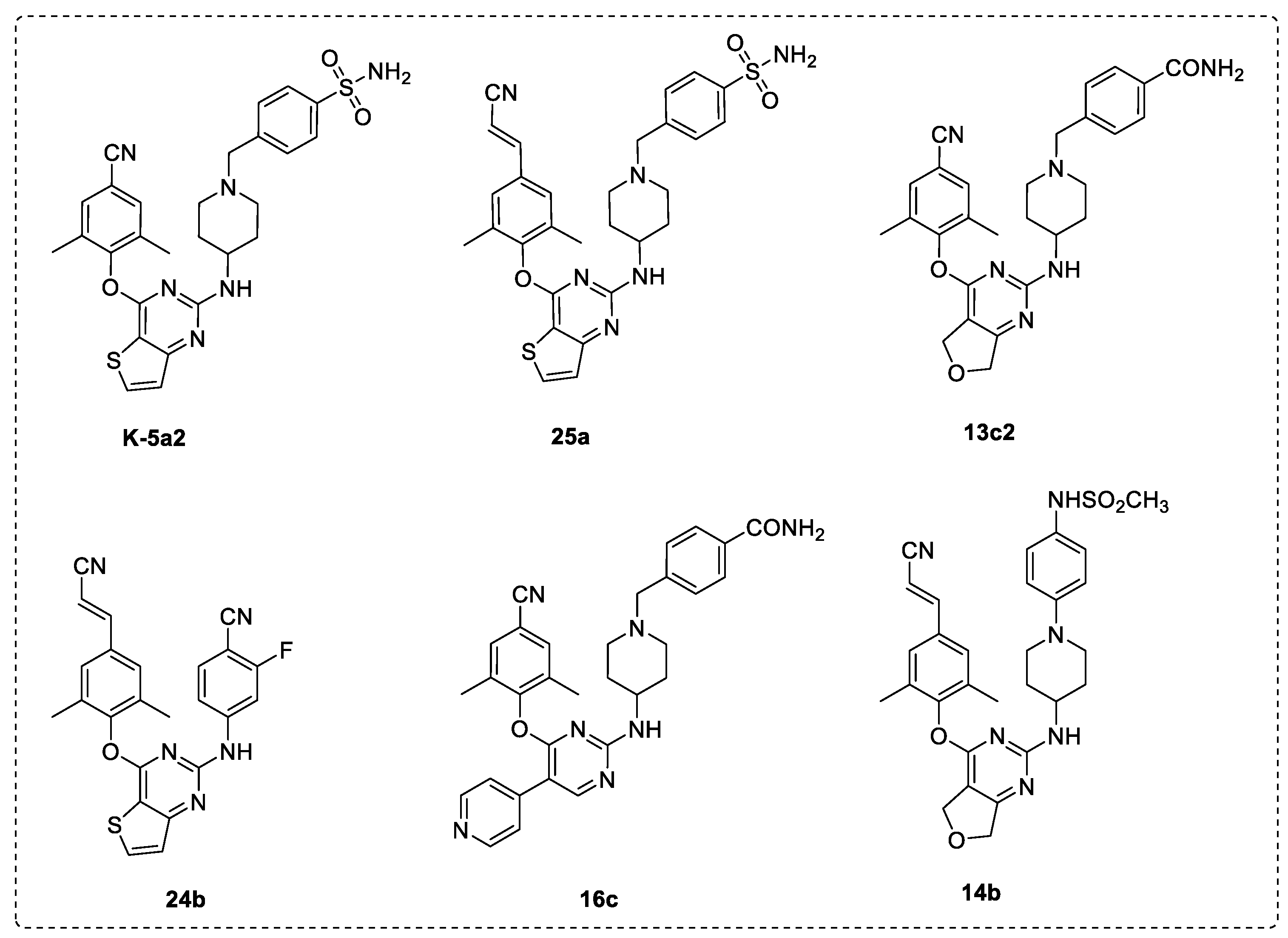 Structure-Based Discovery and Characterization of a