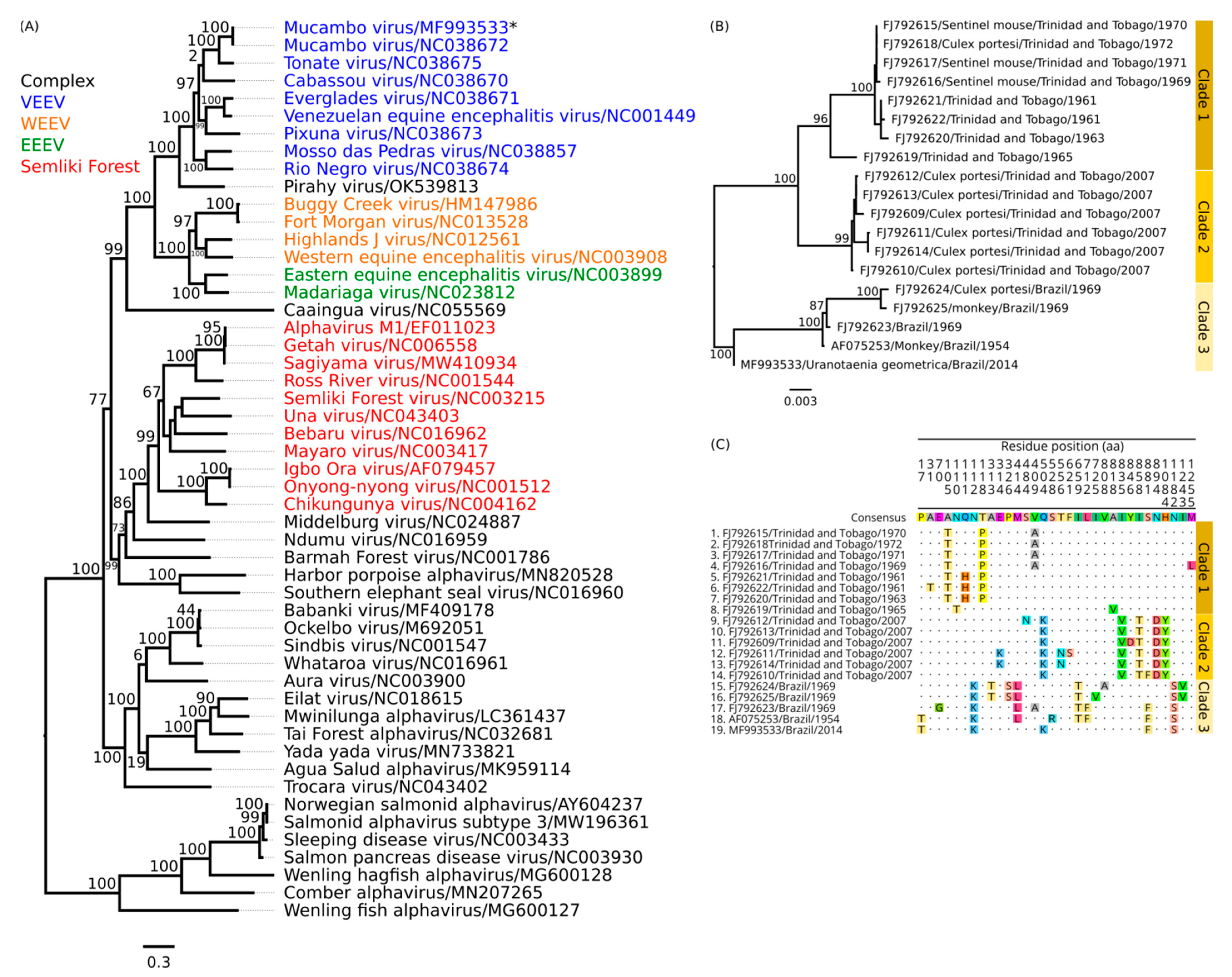 Viruses 14 02391 g003 Viruses 14 02391 g003