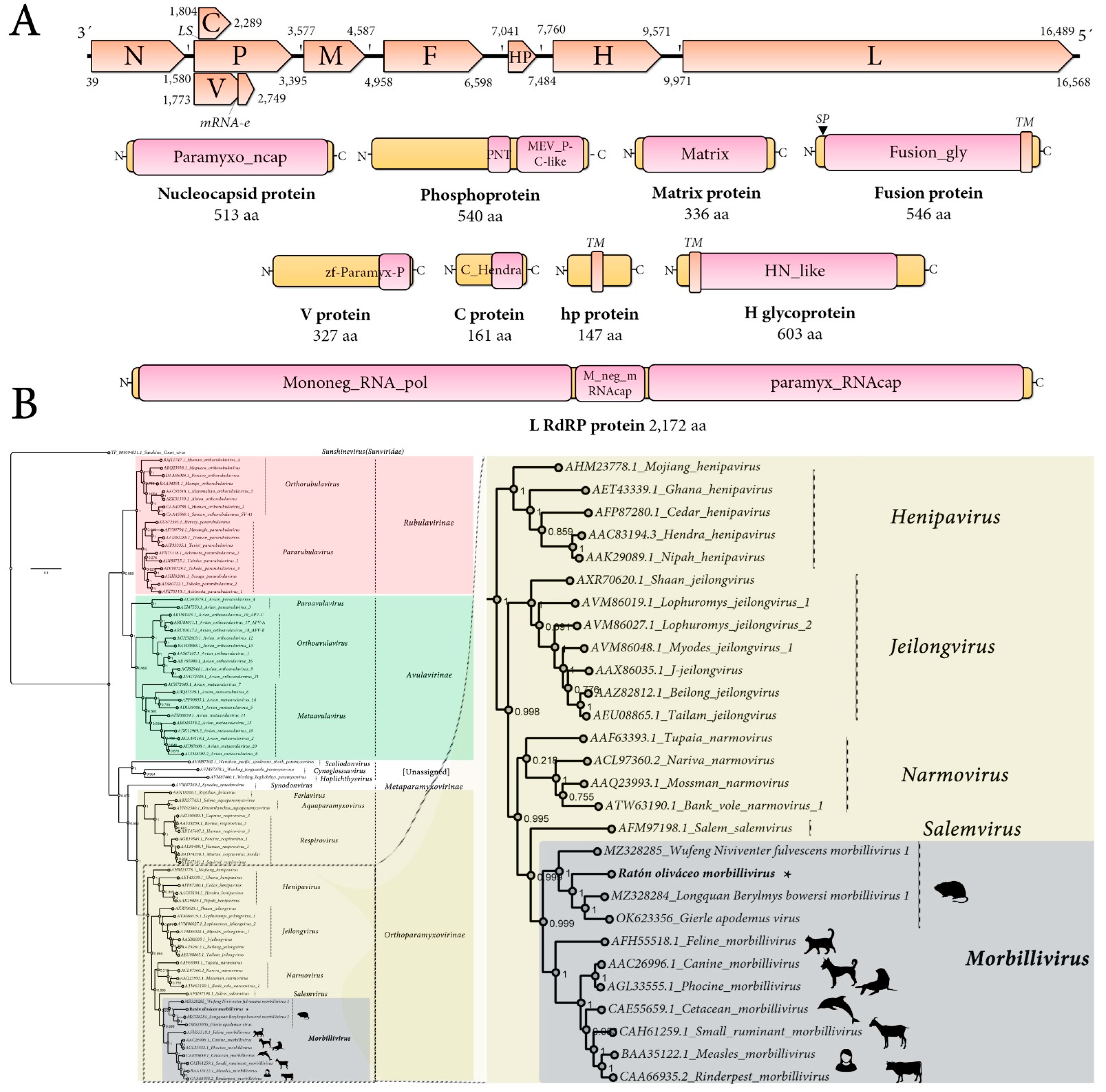 Viruses 14 02403 g001