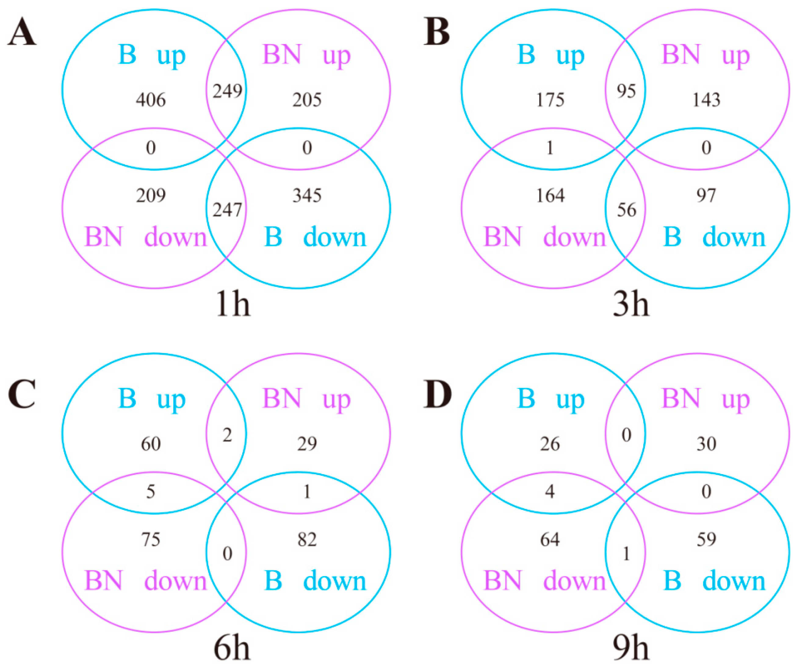 Viruses 14 02405 g001 Viruses 14 02405 g001