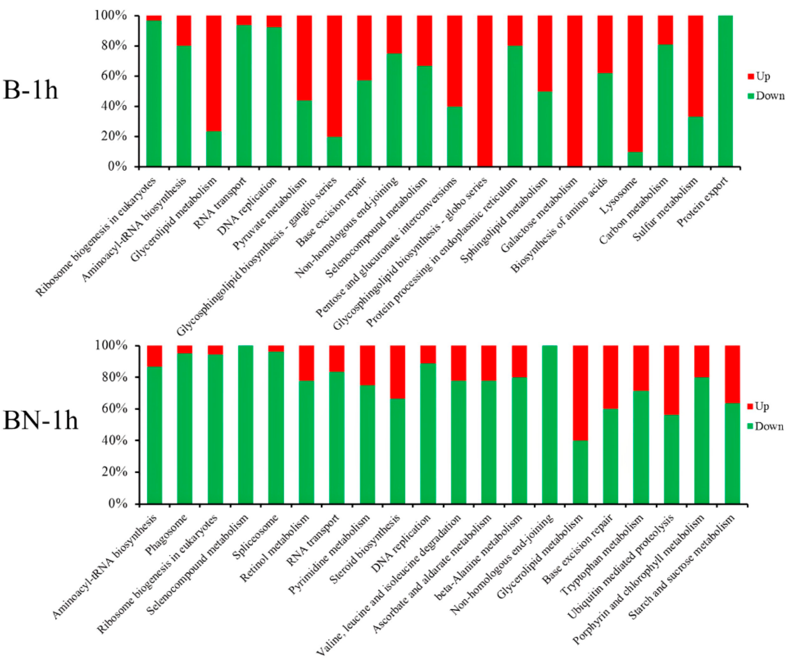 Viruses 14 02405 g005 Viruses 14 02405 g005
