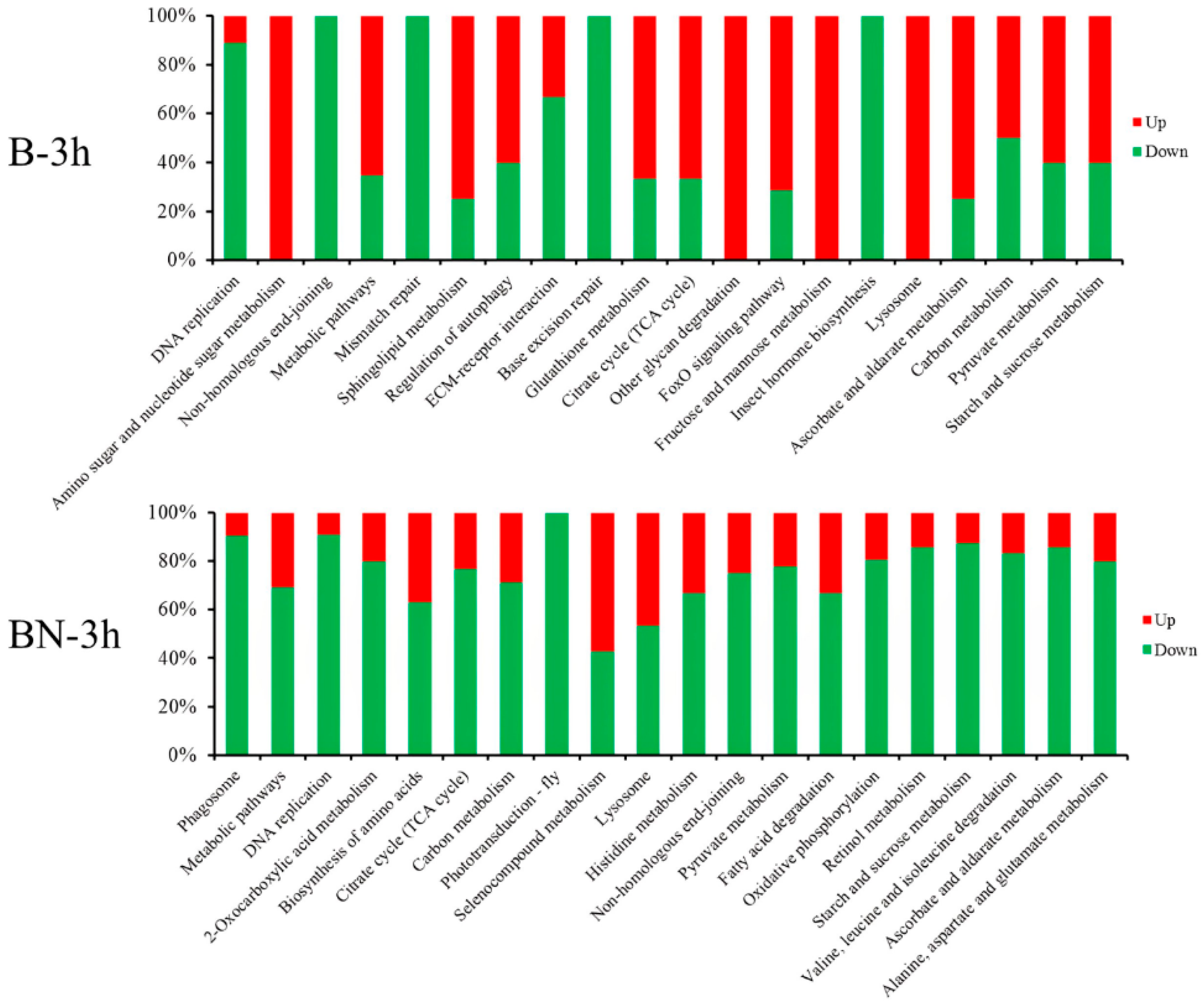 Viruses 14 02405 g006 Viruses 14 02405 g006