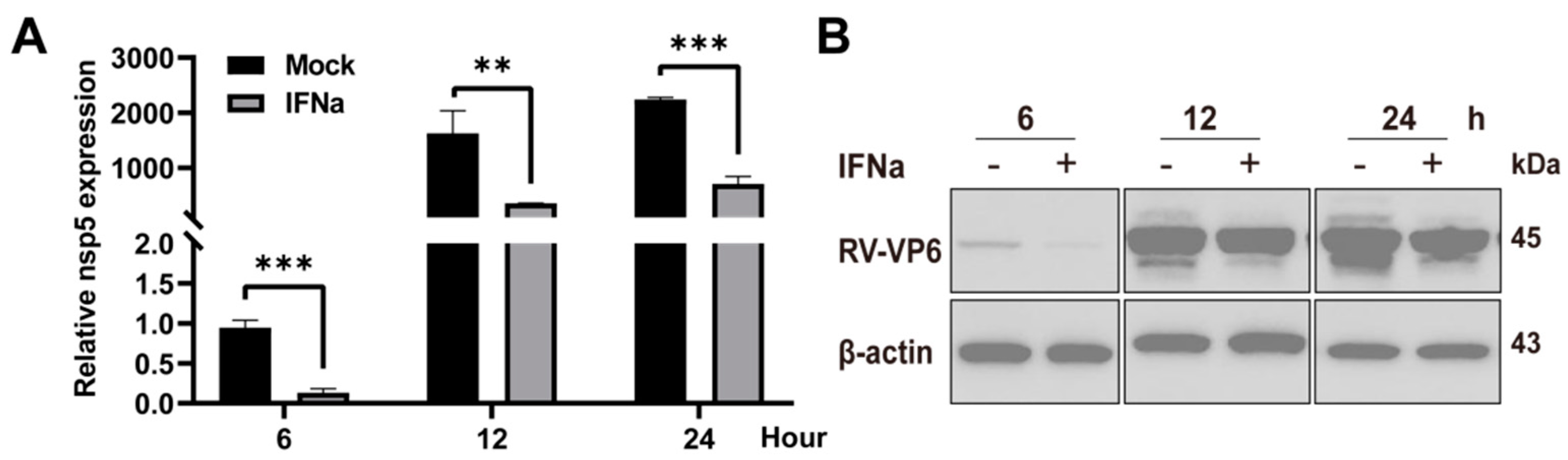 Viruses 14 02407 g001 Viruses 14 02407 g001