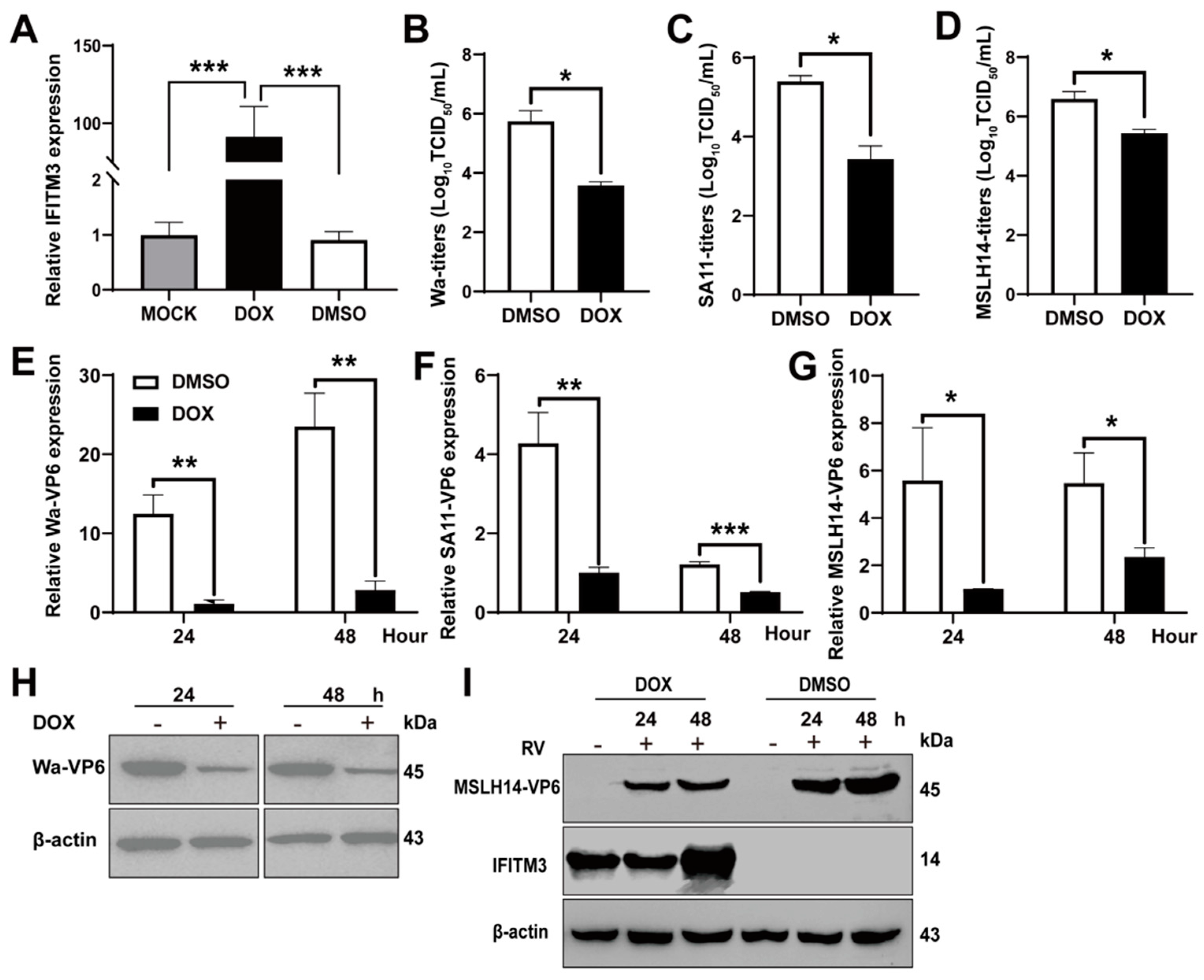 Viruses 14 02407 g003 Viruses 14 02407 g003