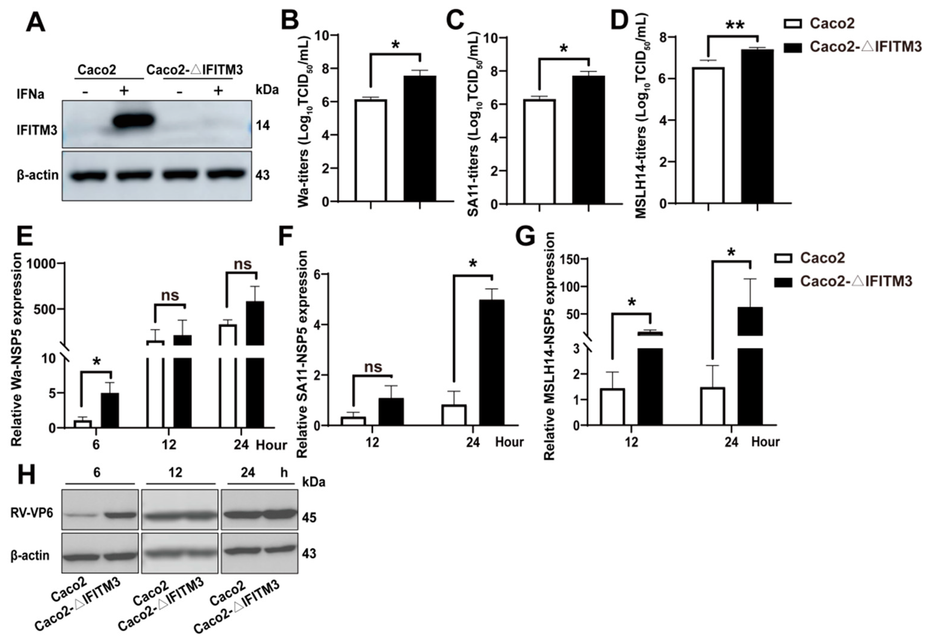 Viruses 14 02407 g004 Viruses 14 02407 g004