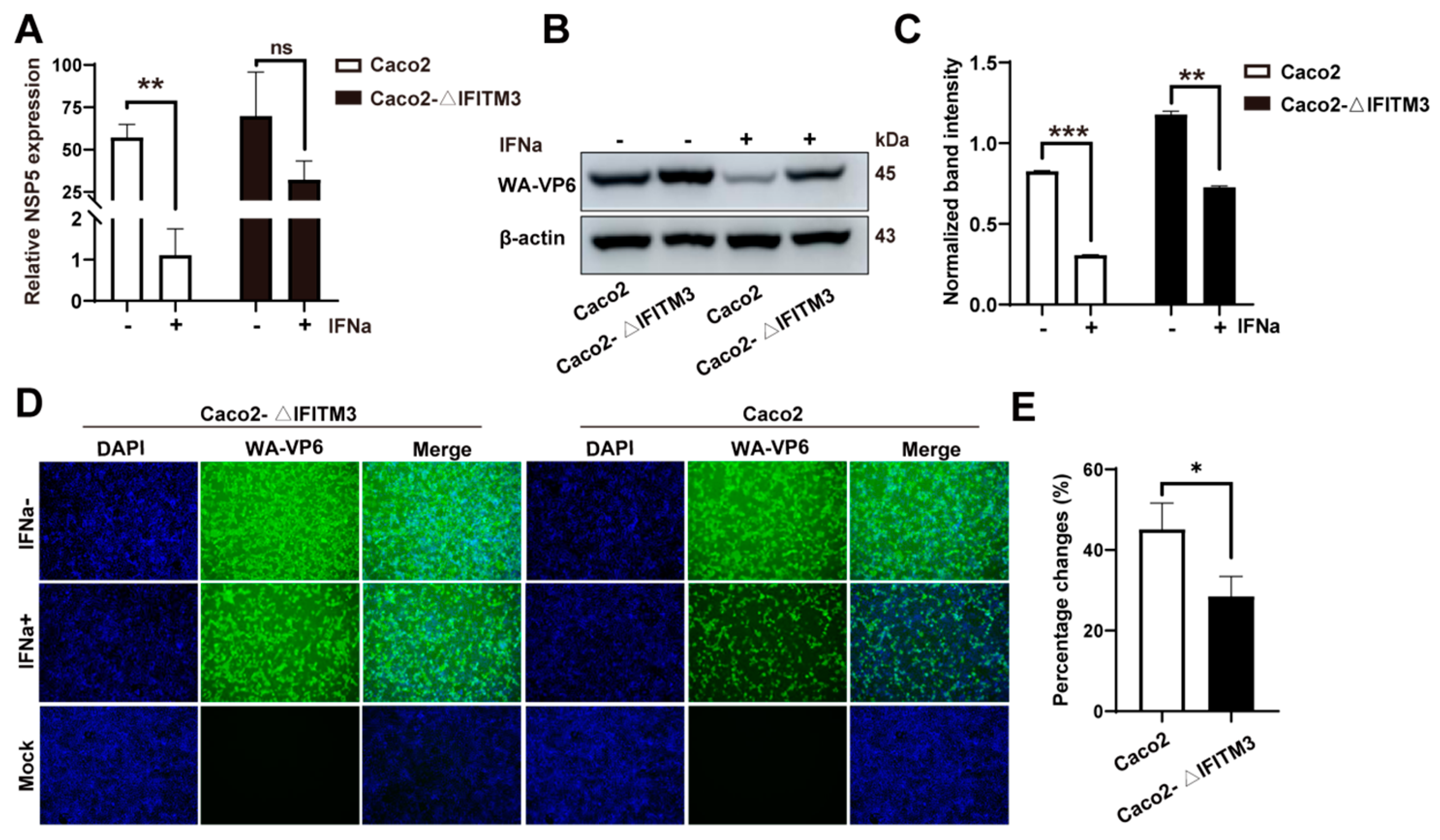 Viruses 14 02407 g005 Viruses 14 02407 g005