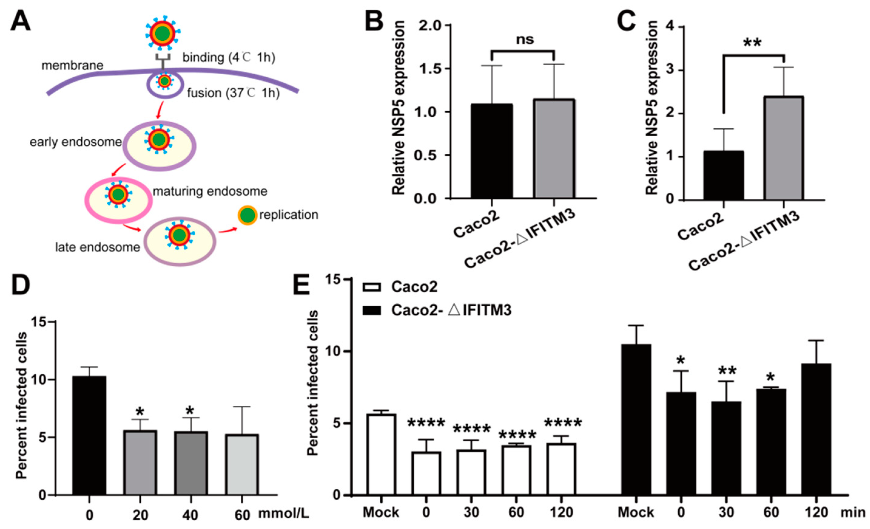 Viruses 14 02407 g006 Viruses 14 02407 g006