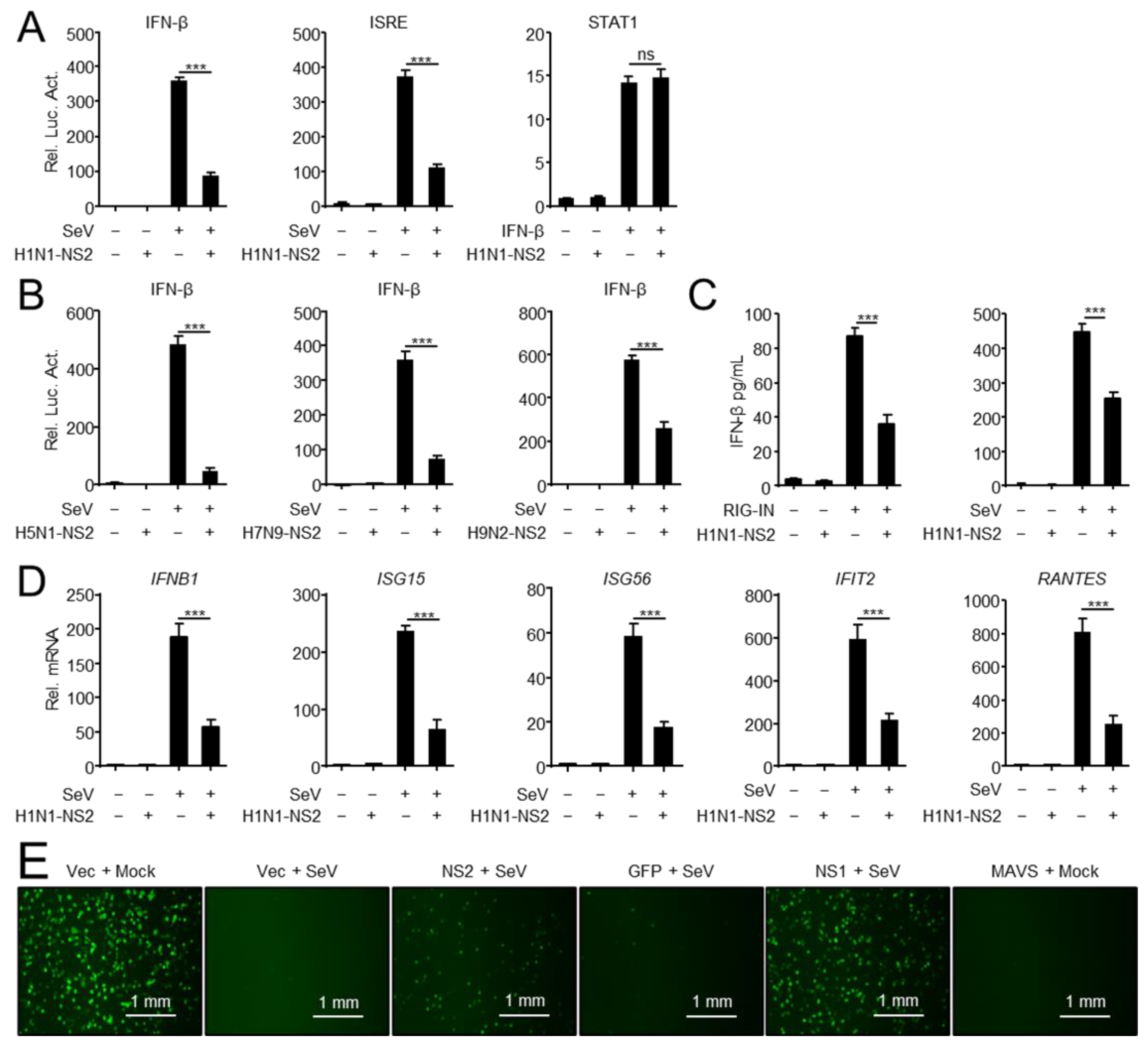 Viruses 14 02411 g001