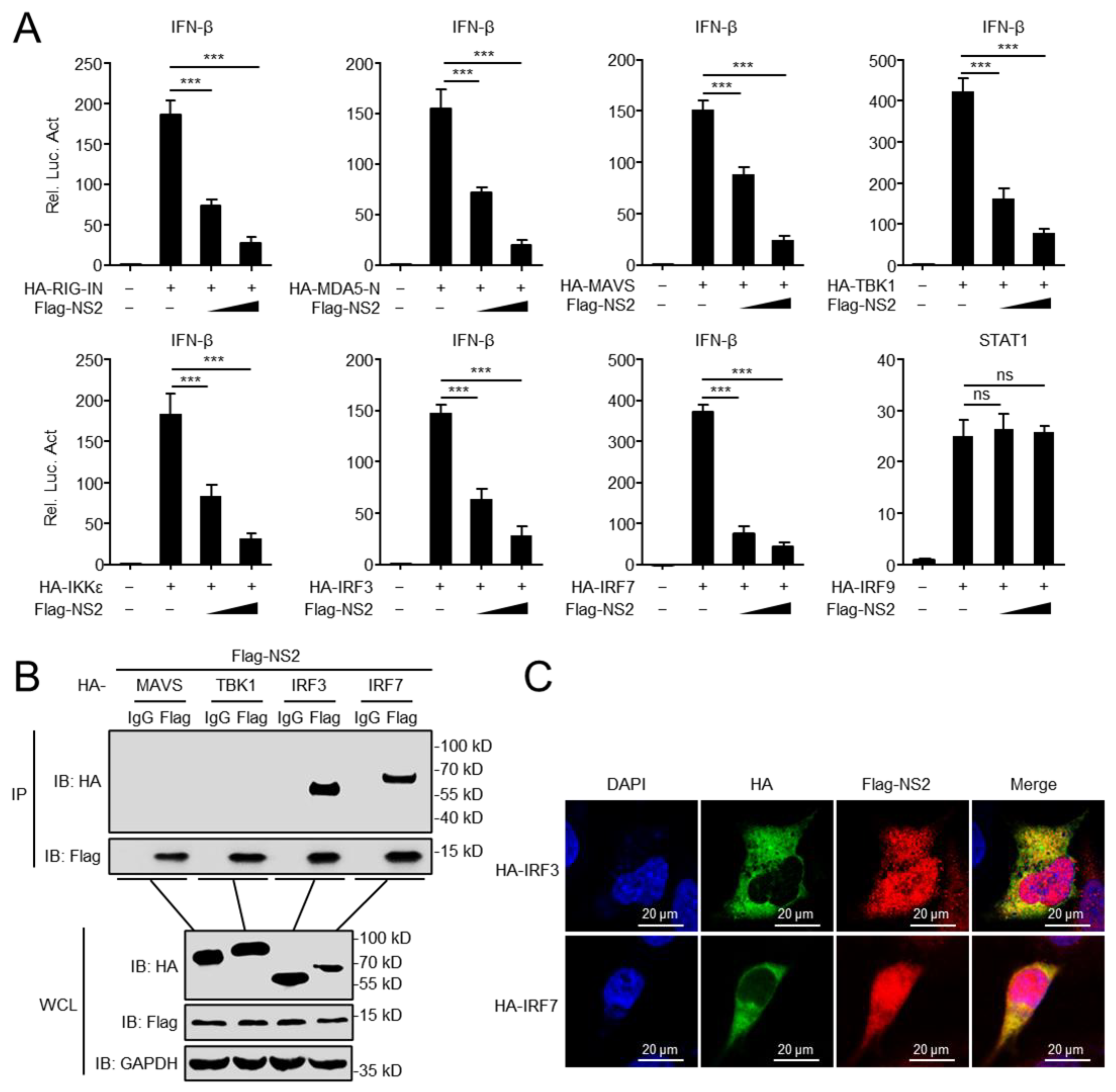 Viruses 14 02411 g002
