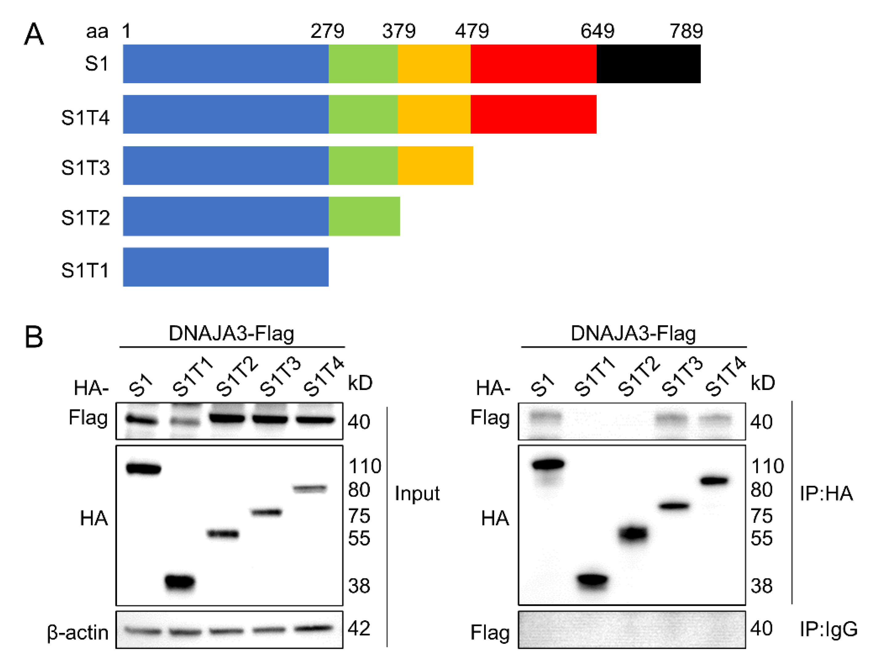 Viruses 14 02413 g002 Viruses 14 02413 g002