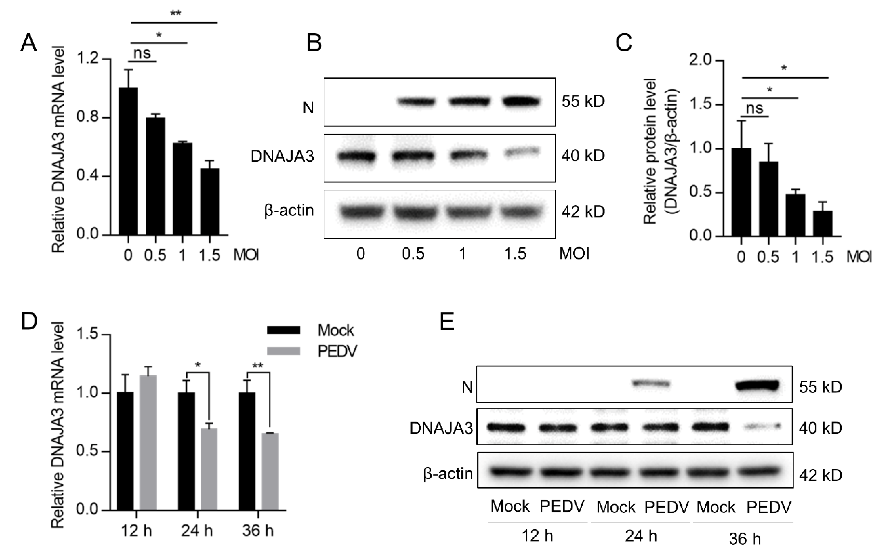 Viruses 14 02413 g003 Viruses 14 02413 g003