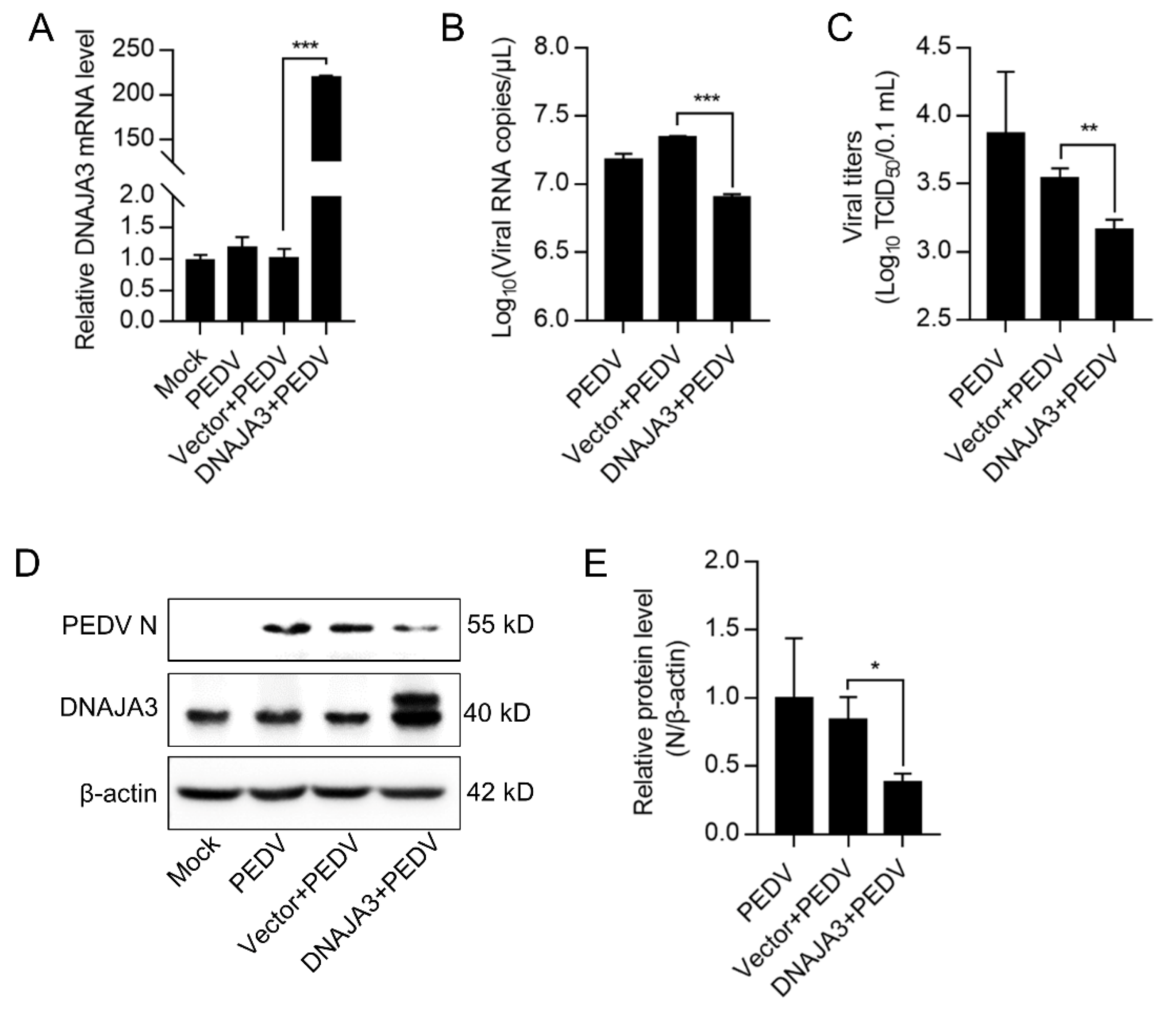 Viruses 14 02413 g004 Viruses 14 02413 g004