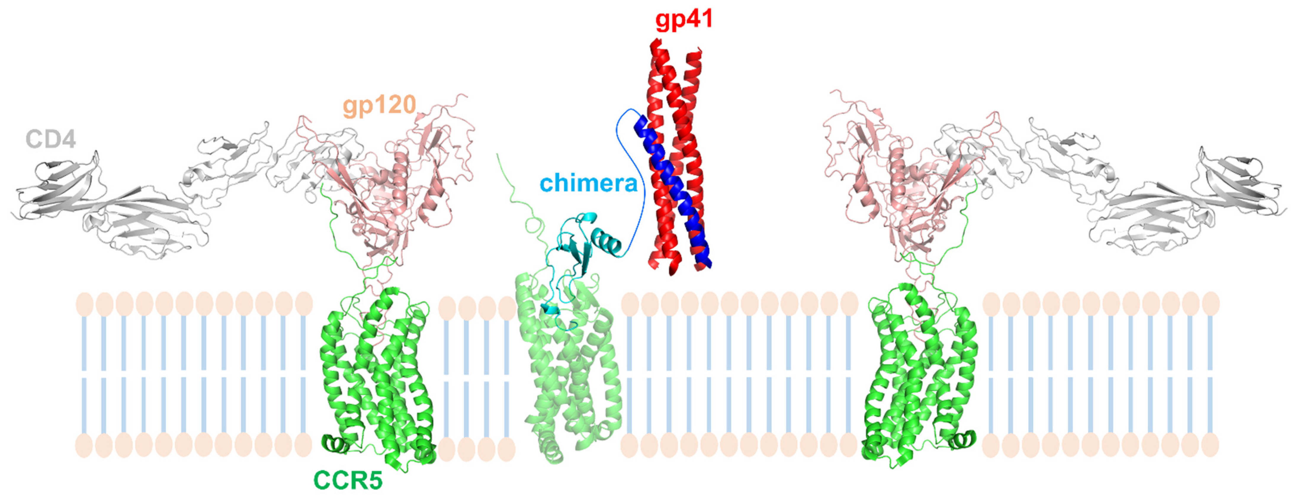 Viruses 14 02415 g005