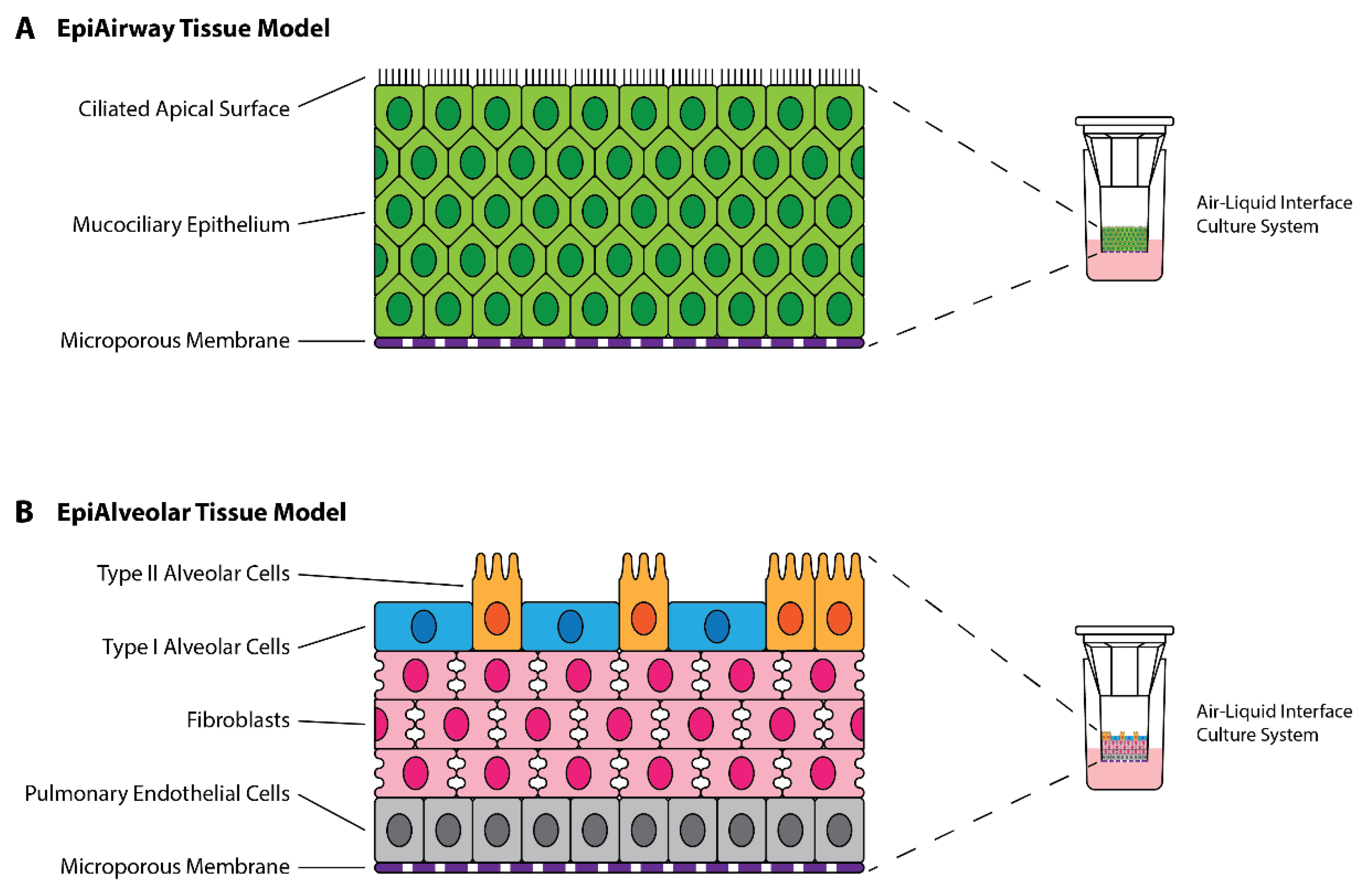 Viruses 14 02417 g001 Viruses 14 02417 g001