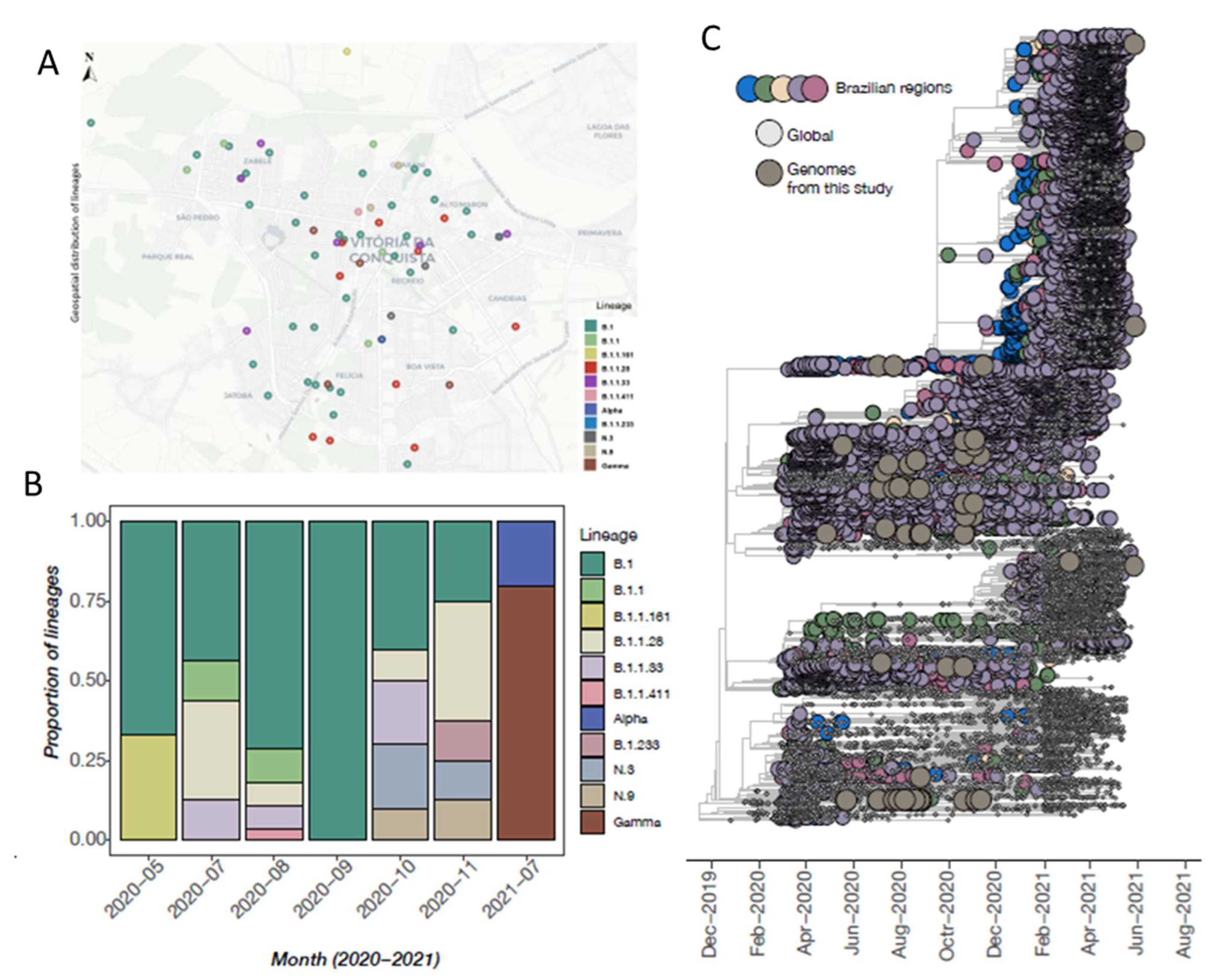 Viruses 14 02424 g002 Viruses 14 02424 g002