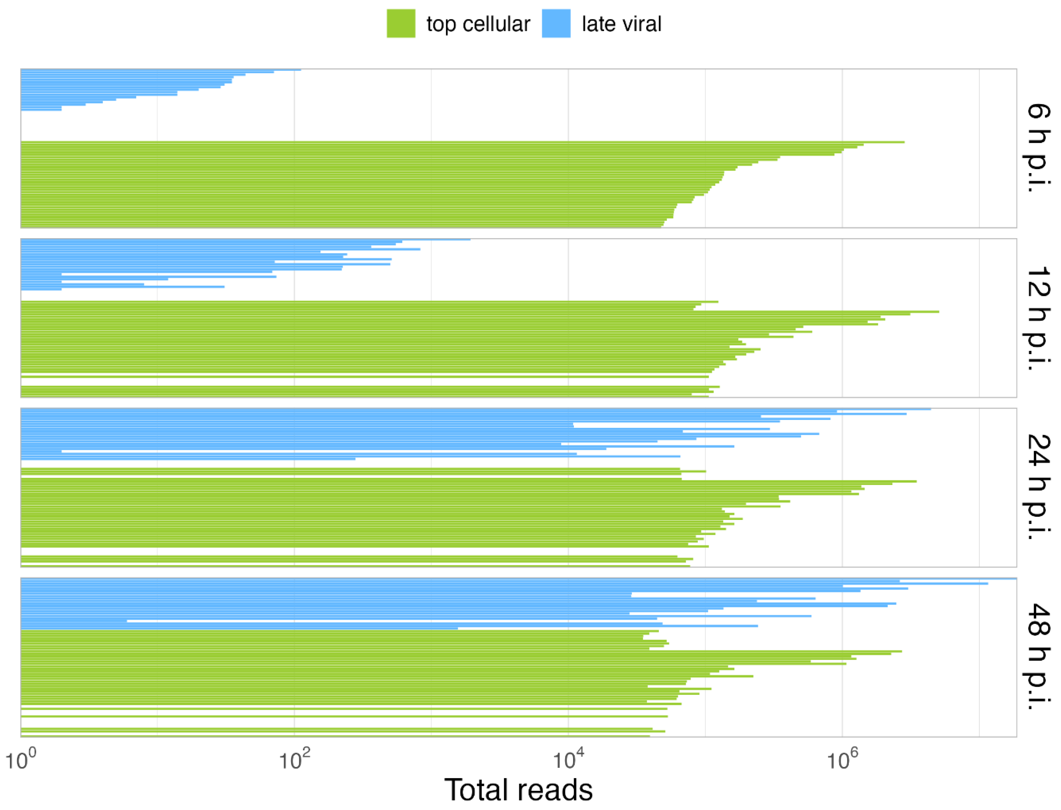 Viruses 14 02428 g005 Viruses 14 02428 g005