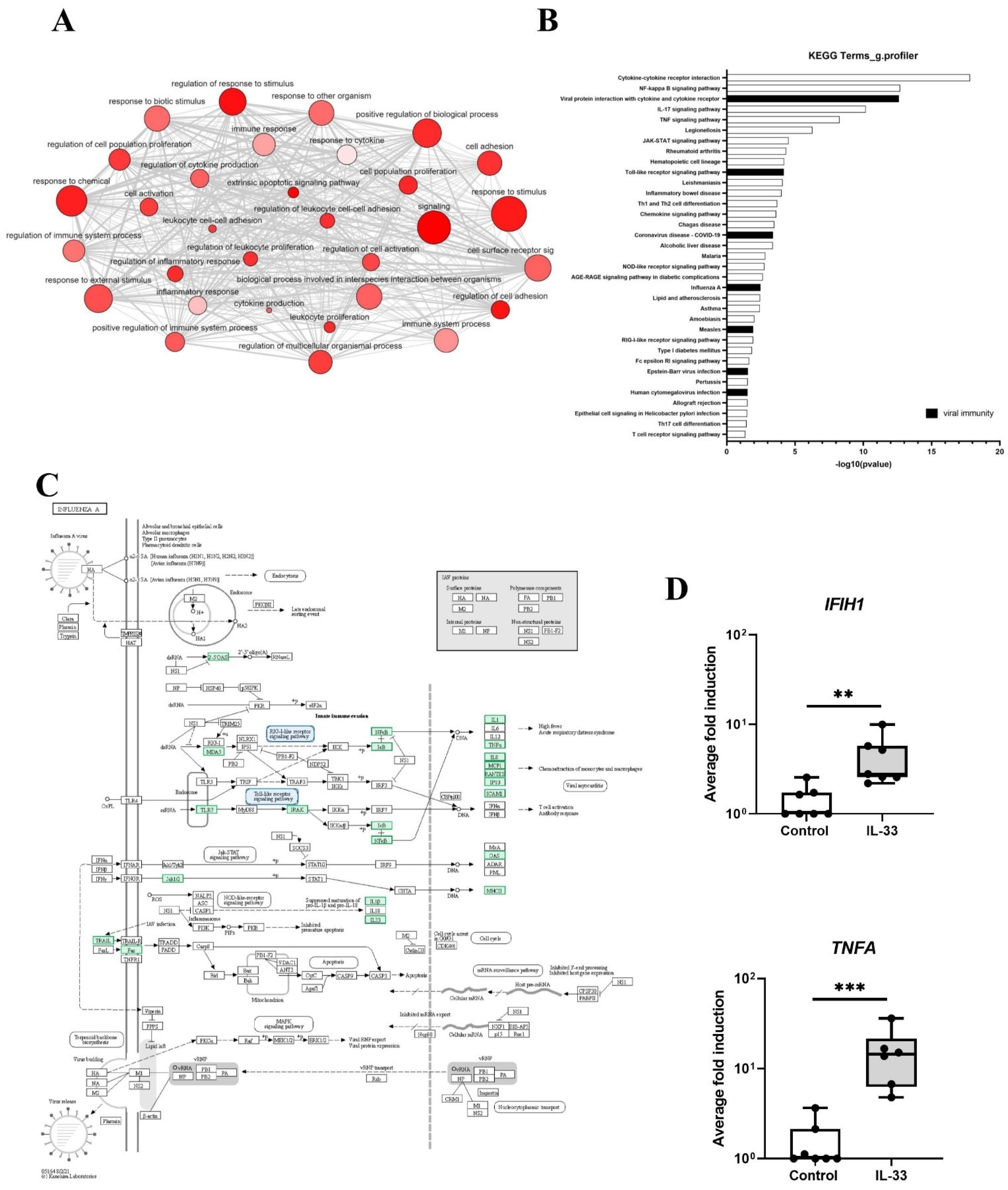 Viruses 14 02430 g002 Viruses 14 02430 g002
