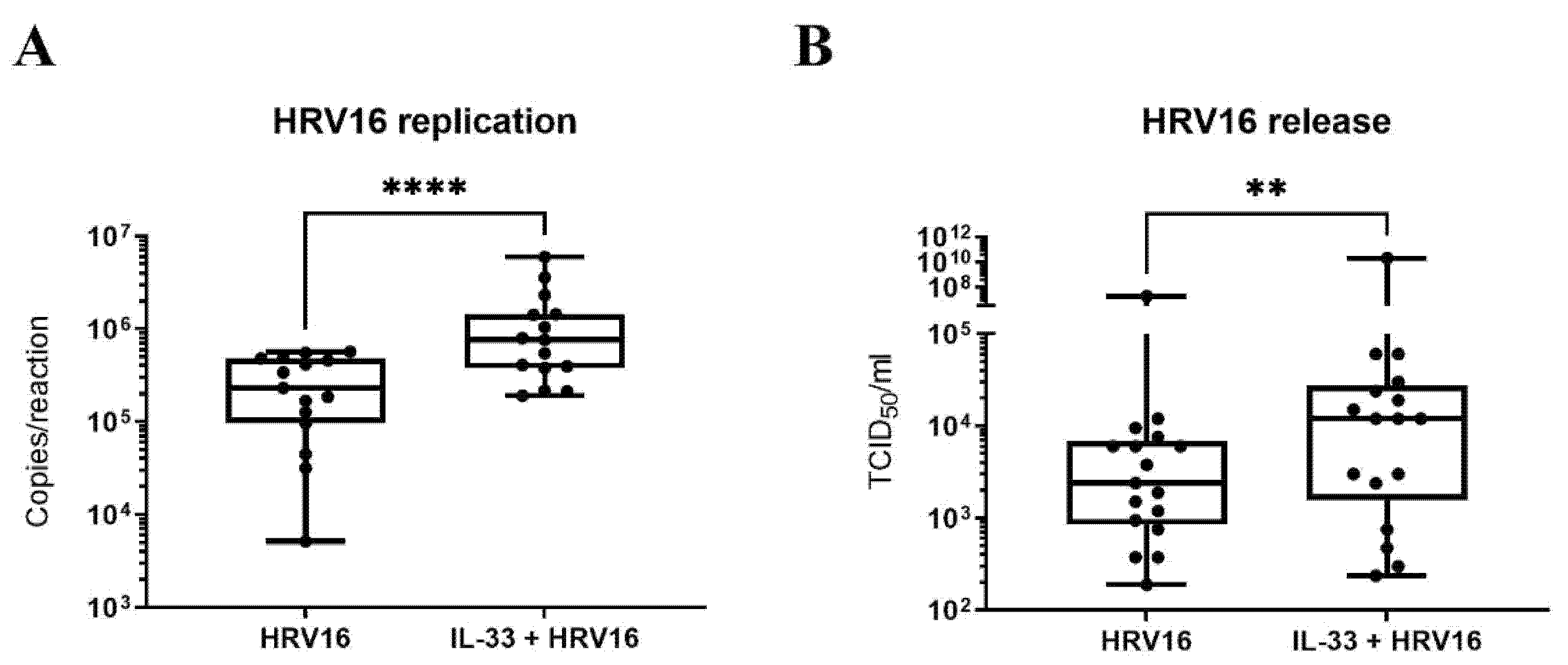 Viruses 14 02430 g004 Viruses 14 02430 g004