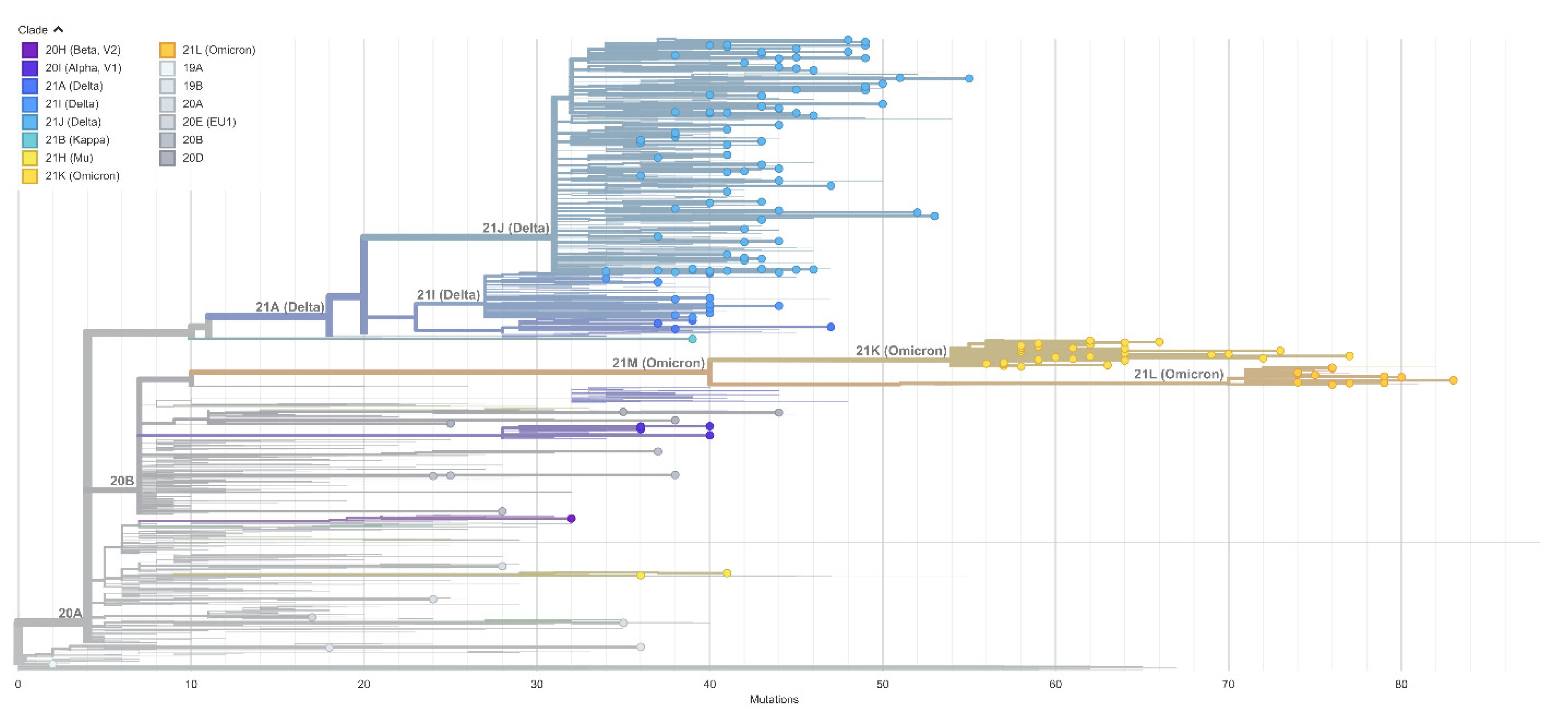 Viruses 14 02432 g003 Viruses 14 02432 g003