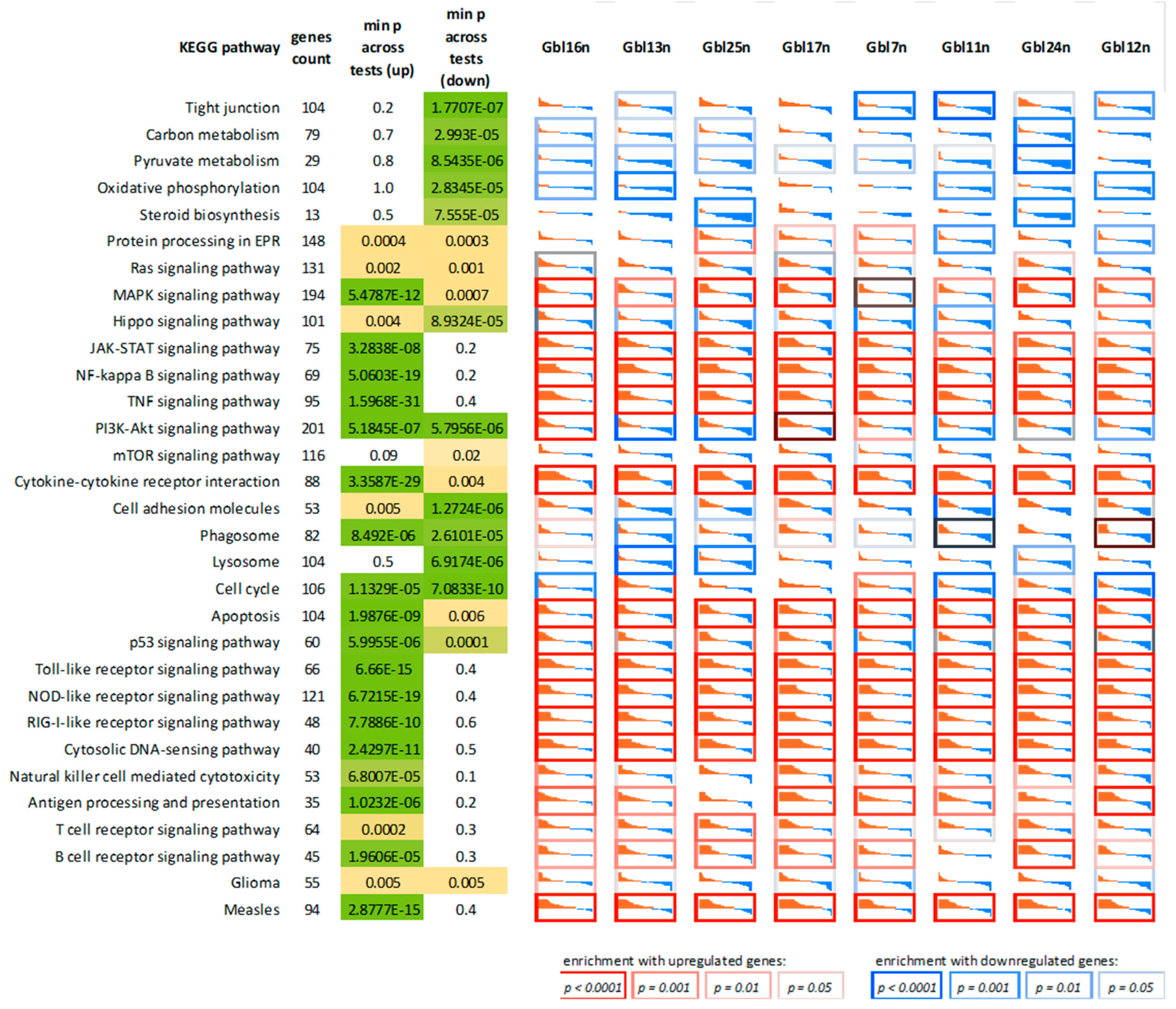 Viruses 14 02433 g010