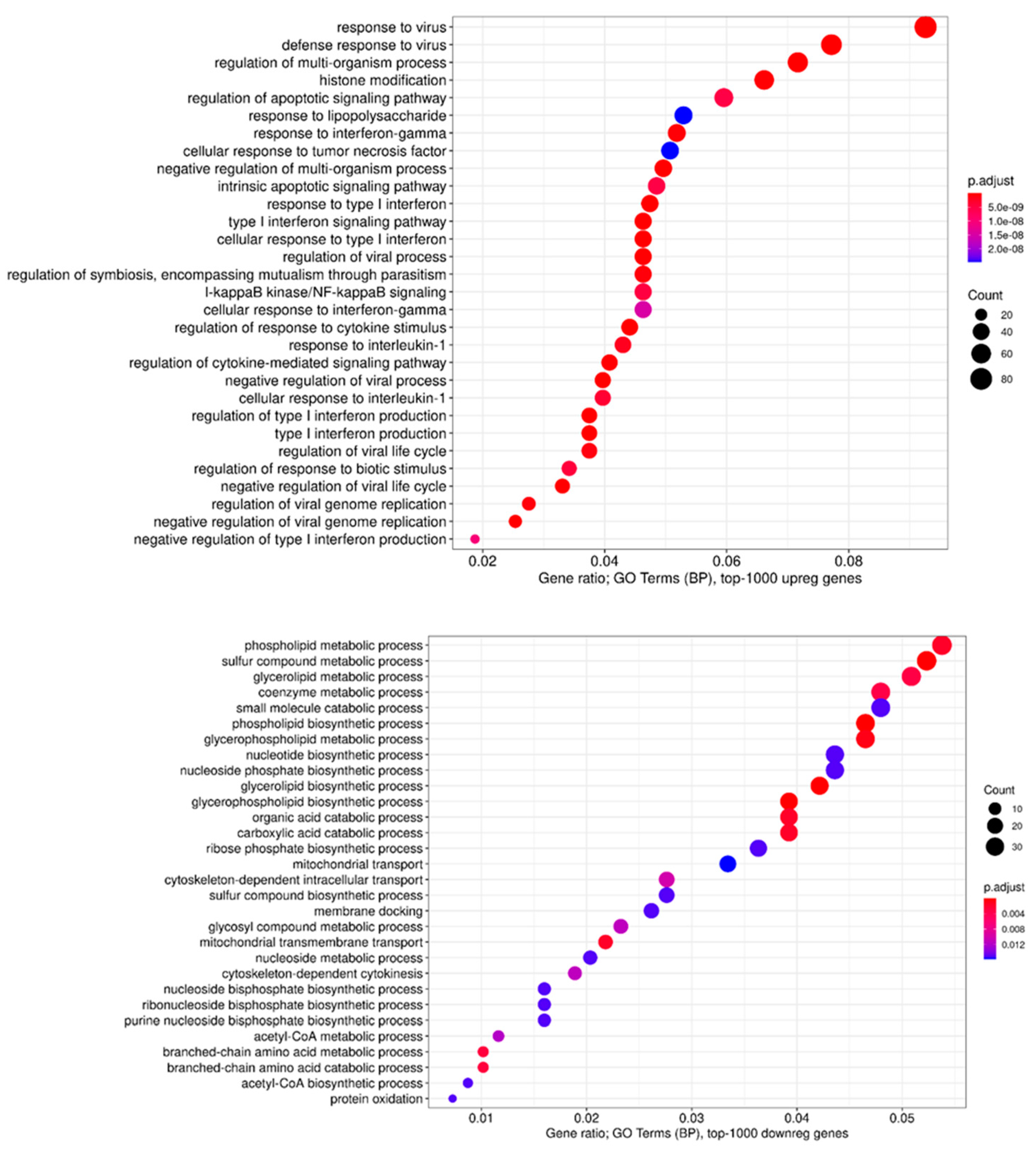 Viruses 14 02433 g012