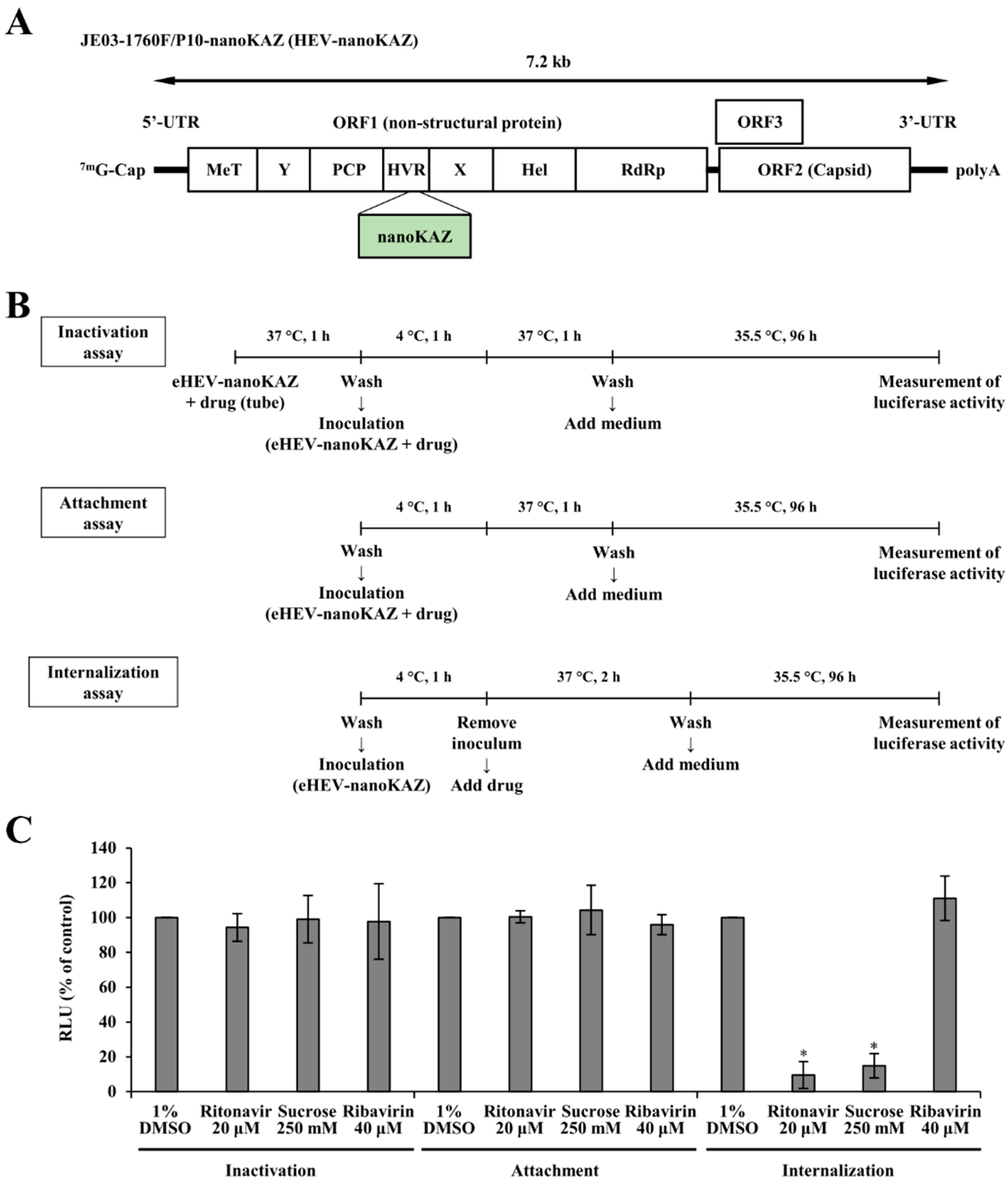 Viruses 14 02440 g001 Viruses 14 02440 g001