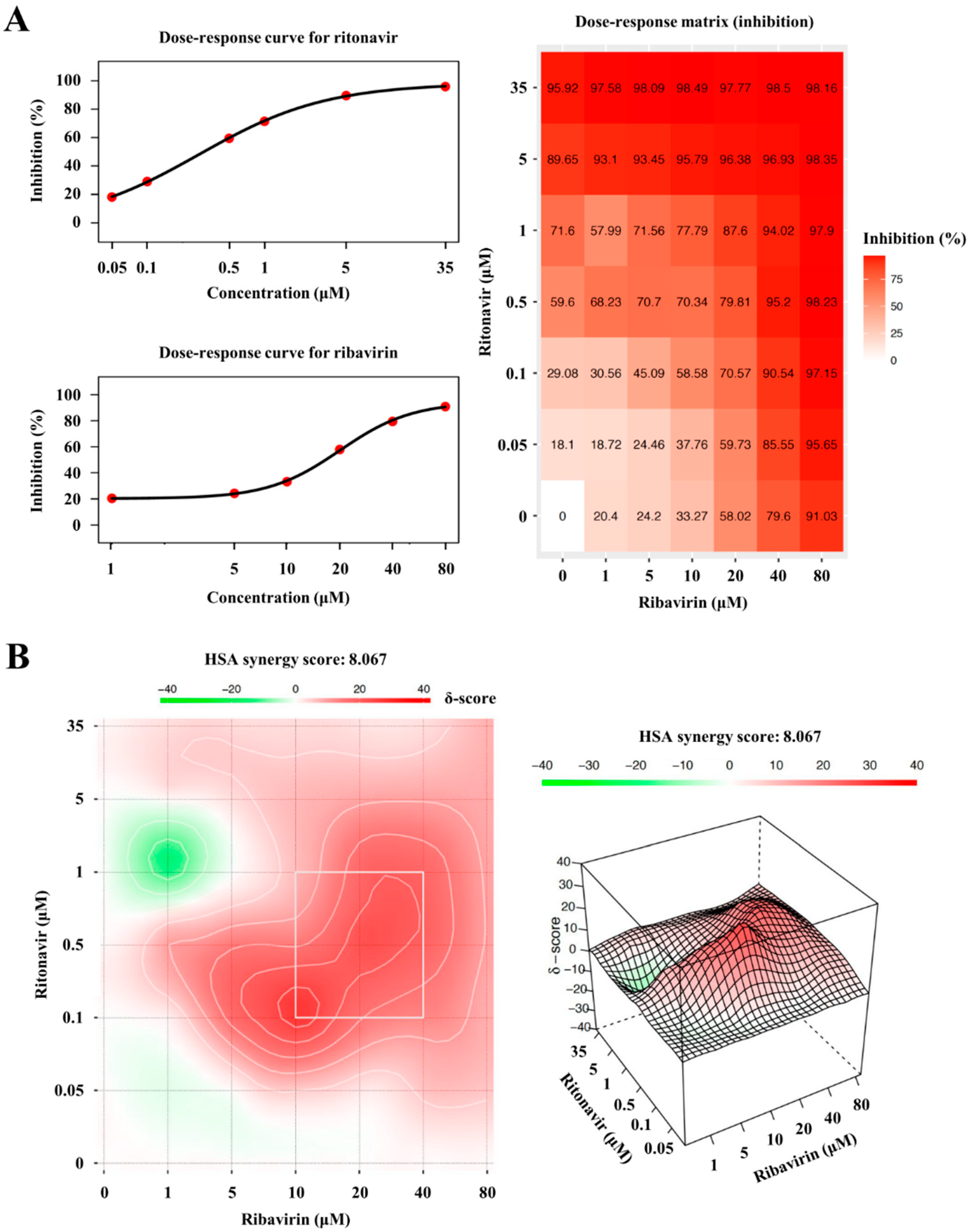 Viruses 14 02440 g006 Viruses 14 02440 g006