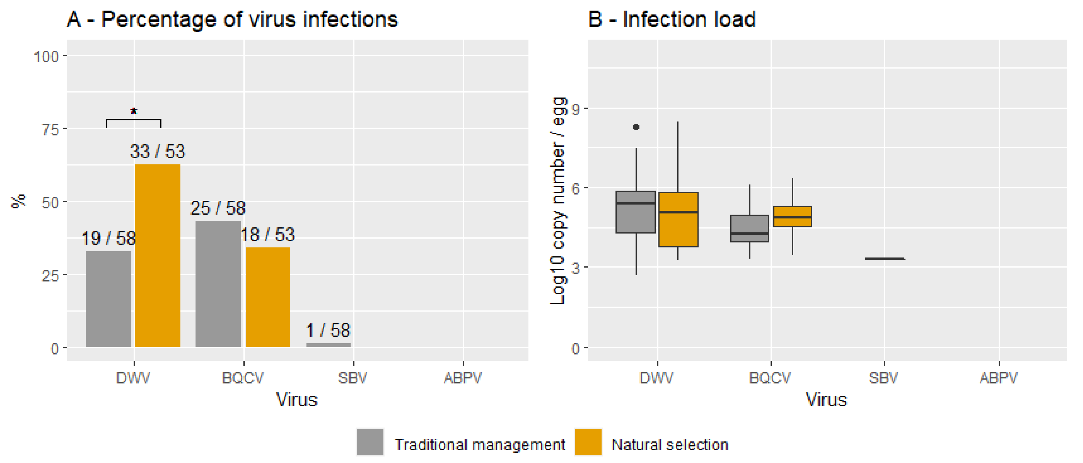 Viruses 14 02442 g002 Viruses 14 02442 g002