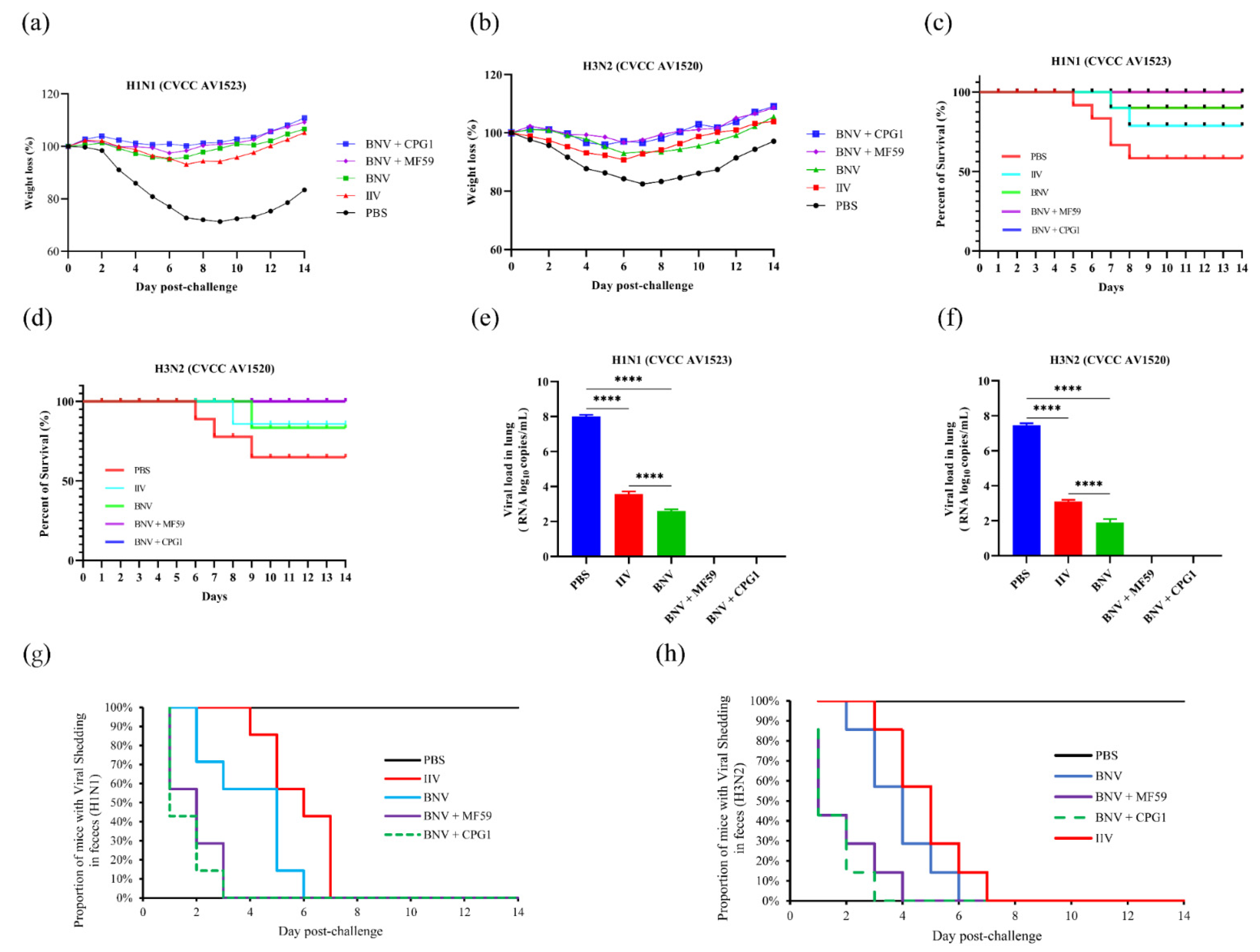 Viruses 14 02443 g005