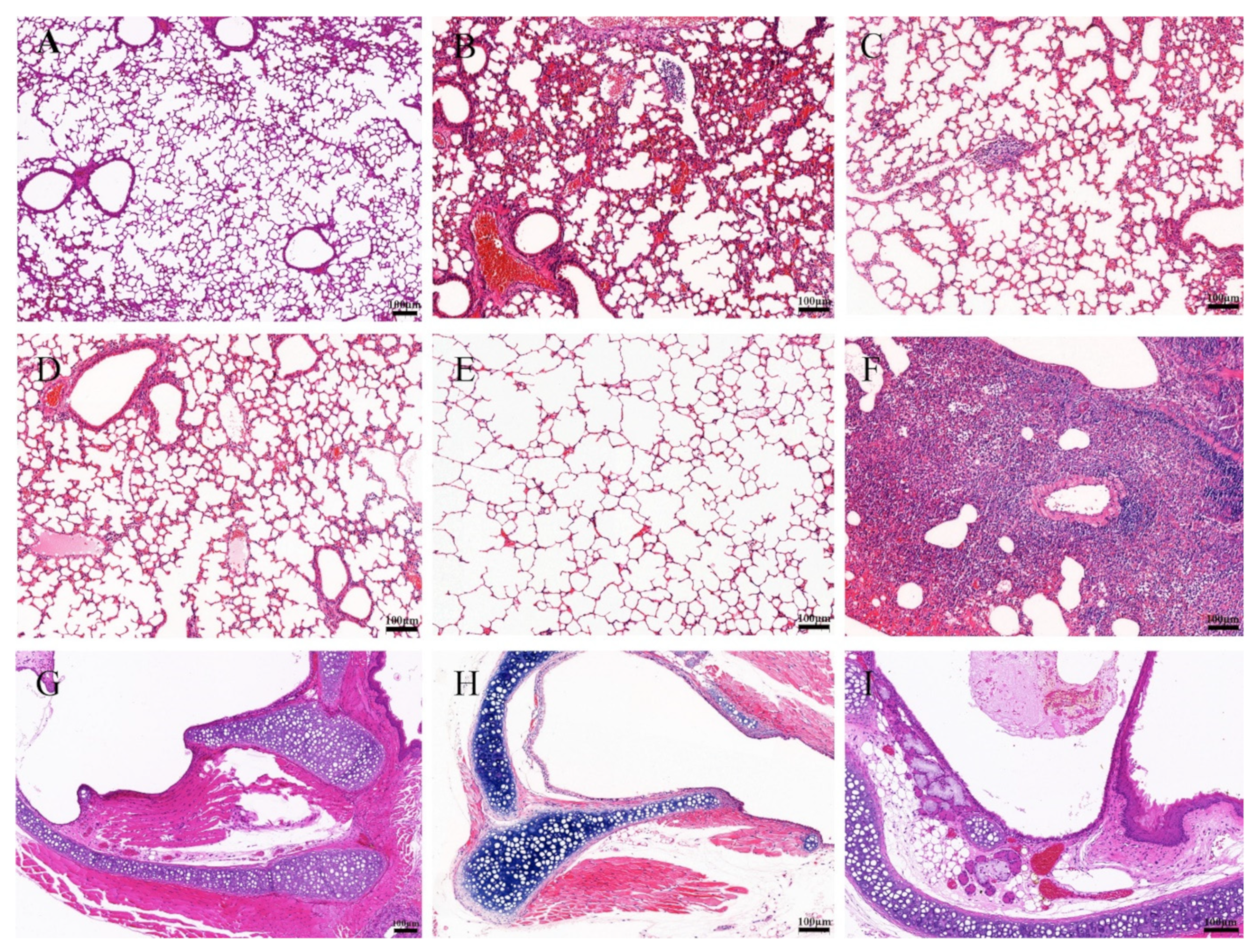 Viruses 14 02443 g006