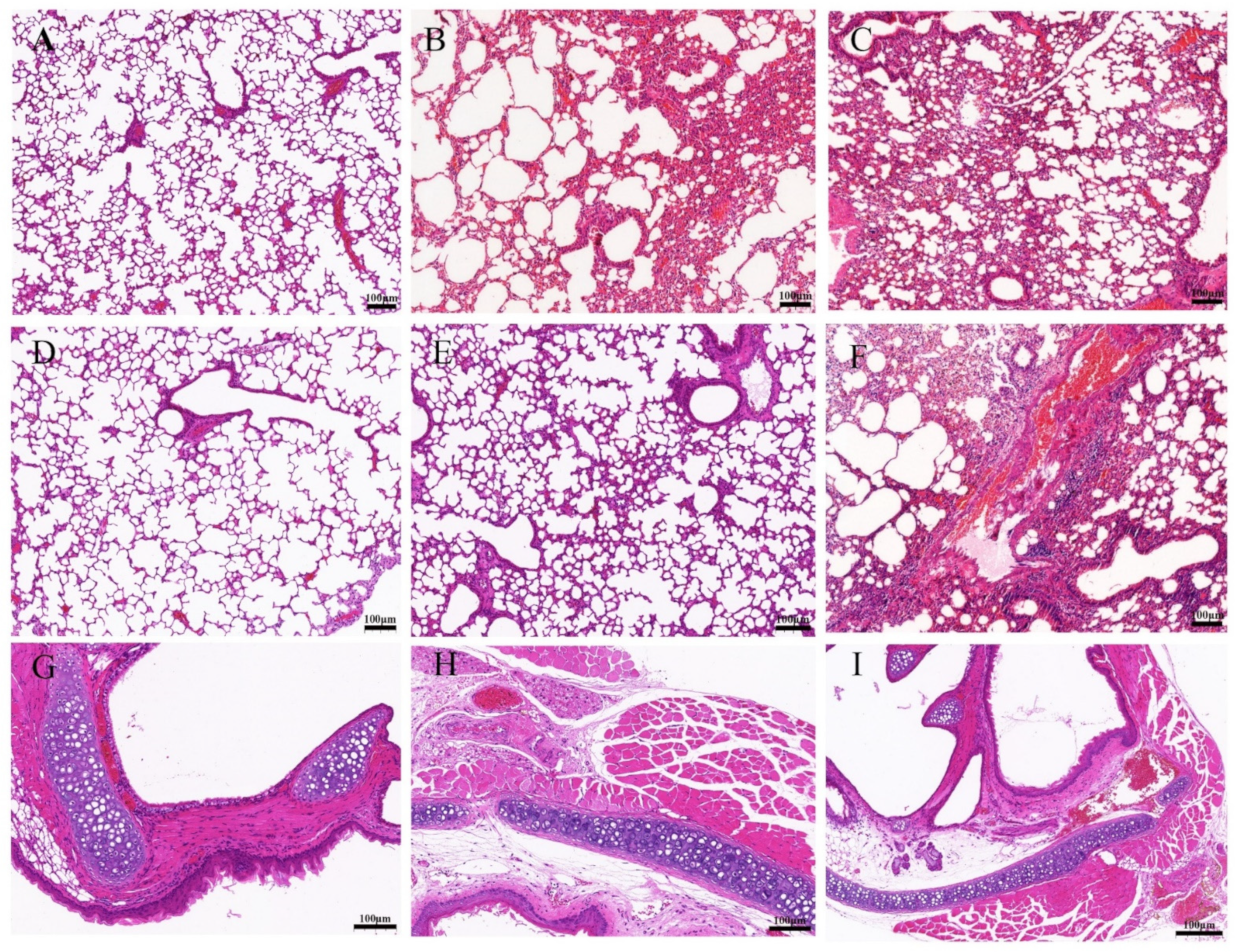 Viruses 14 02443 g007