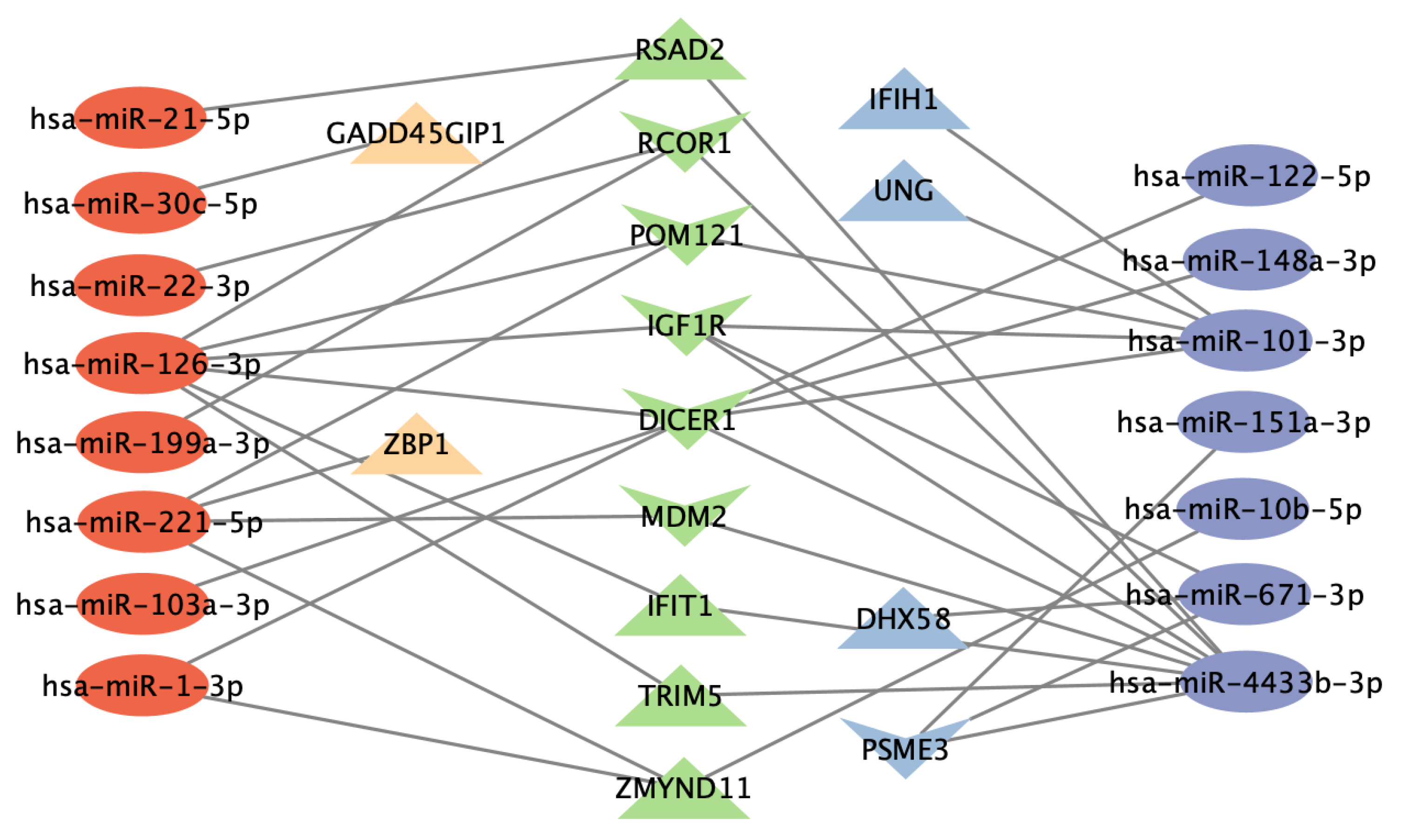 Viruses 14 02444 g006 Viruses 14 02444 g006