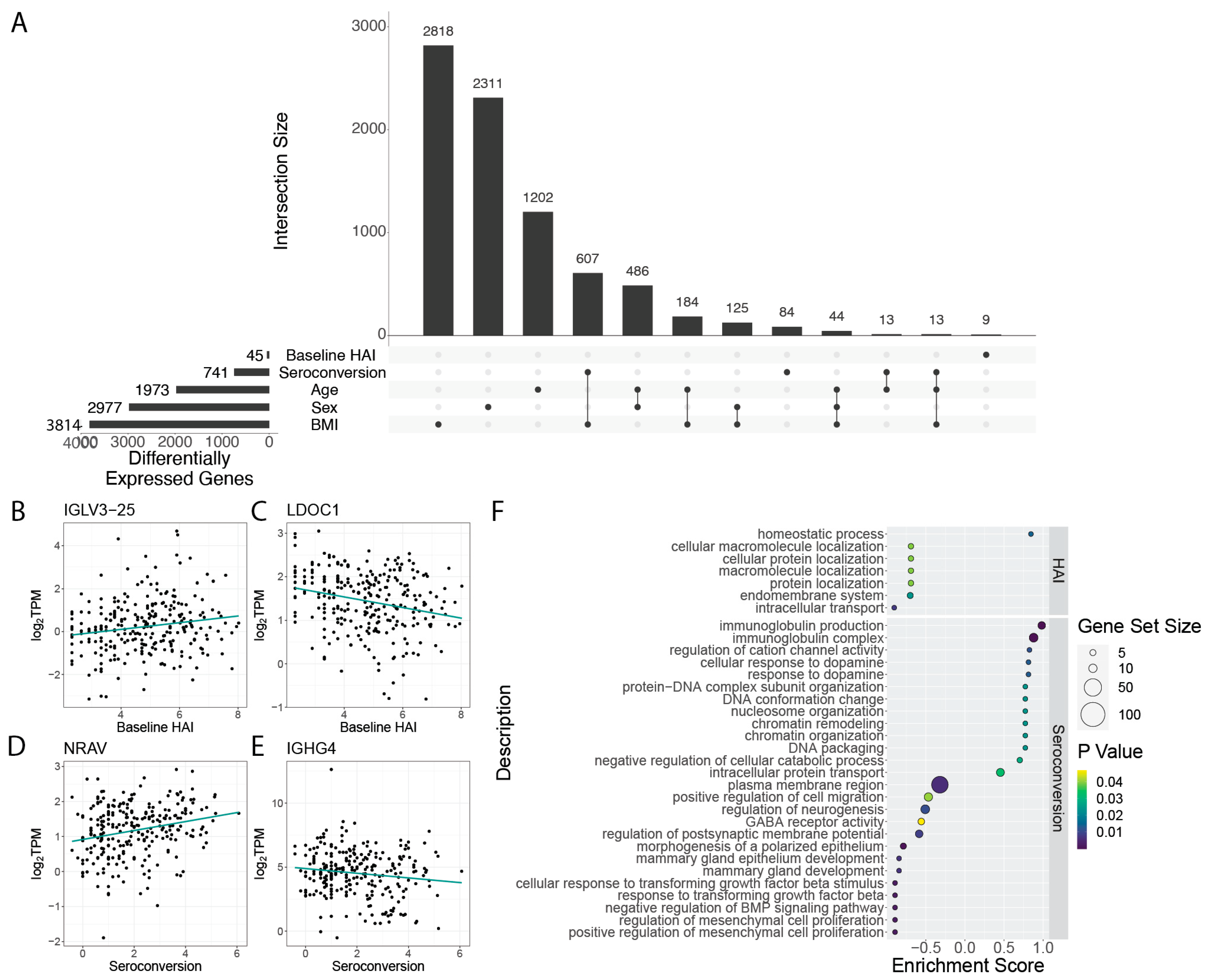 Viruses 14 02446 g002