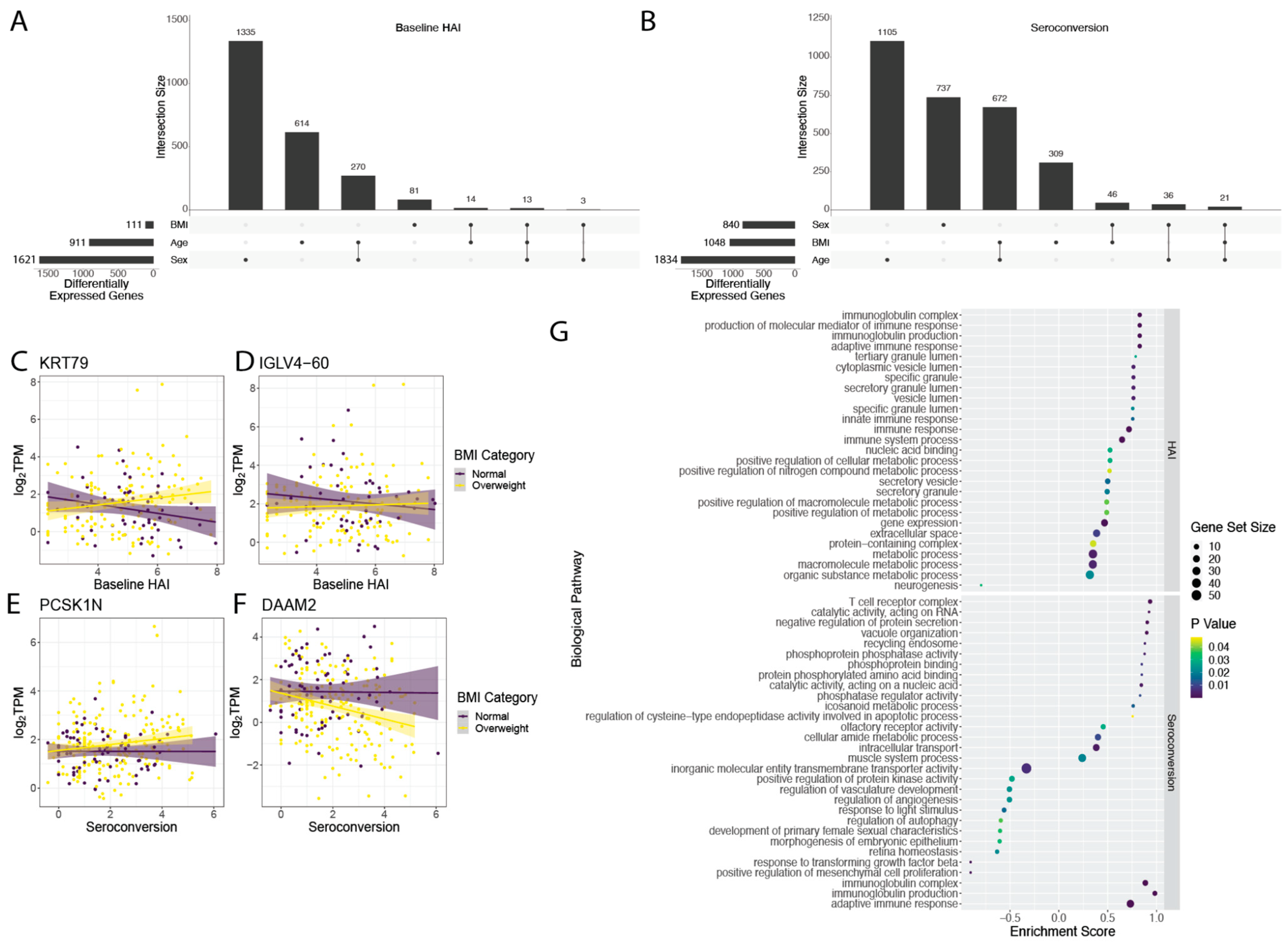 Viruses 14 02446 g003