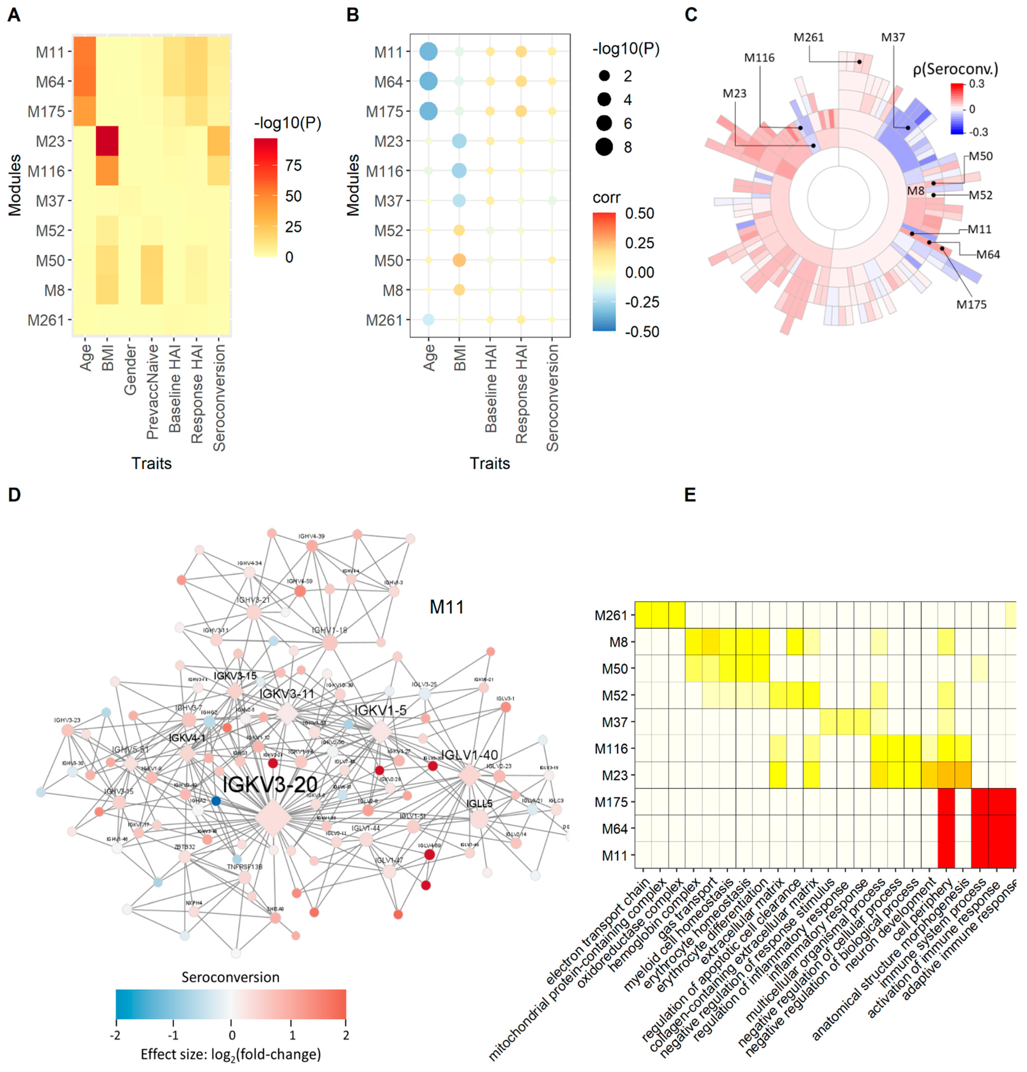 Viruses 14 02446 g004