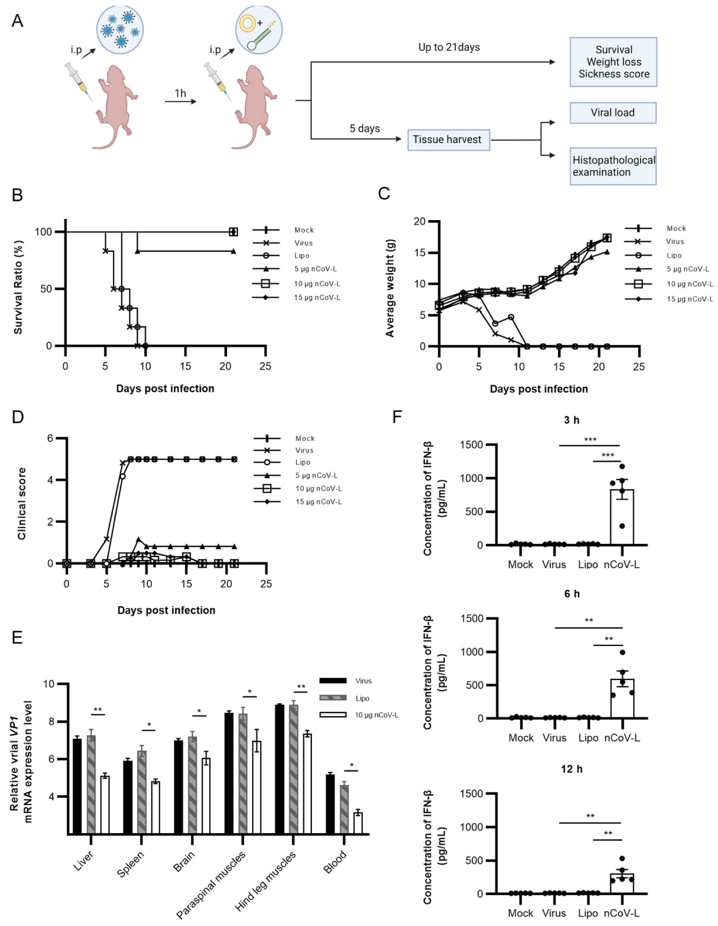 Viruses 14 02451 g003 Viruses 14 02451 g003