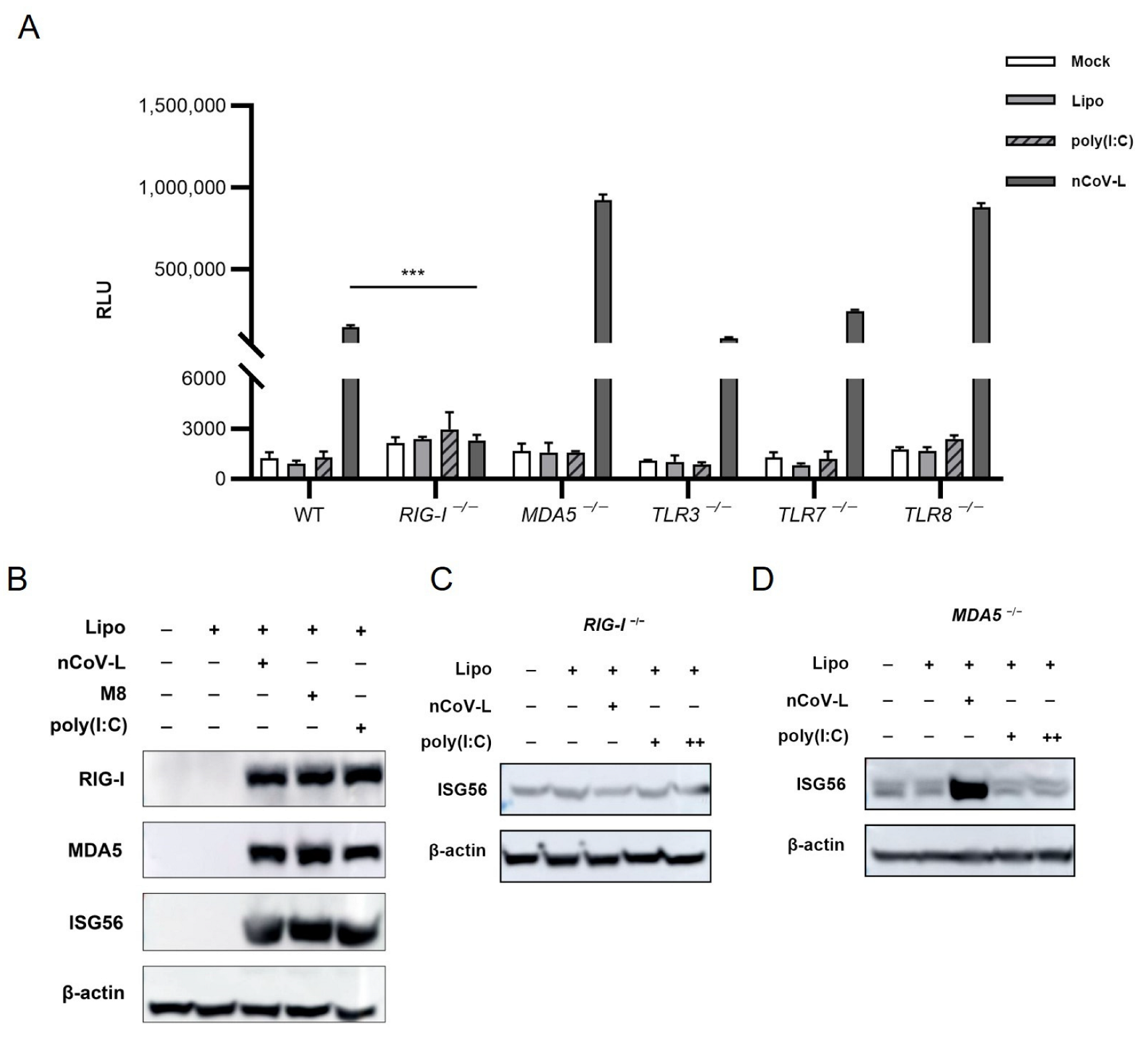 Viruses 14 02451 g0a2 Viruses 14 02451 g0a2