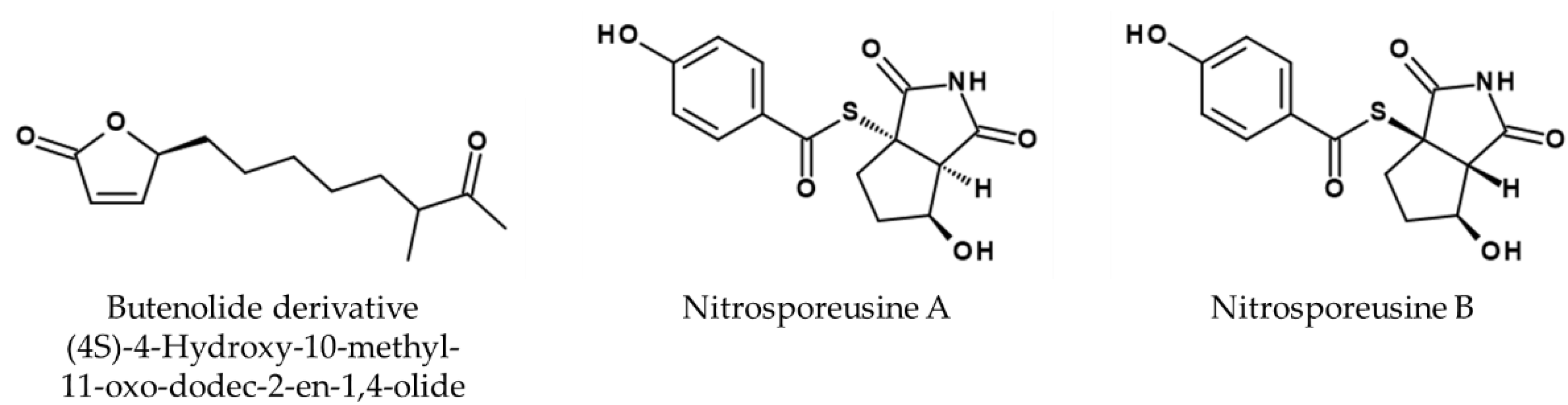 Viruses 14 02452 g009
