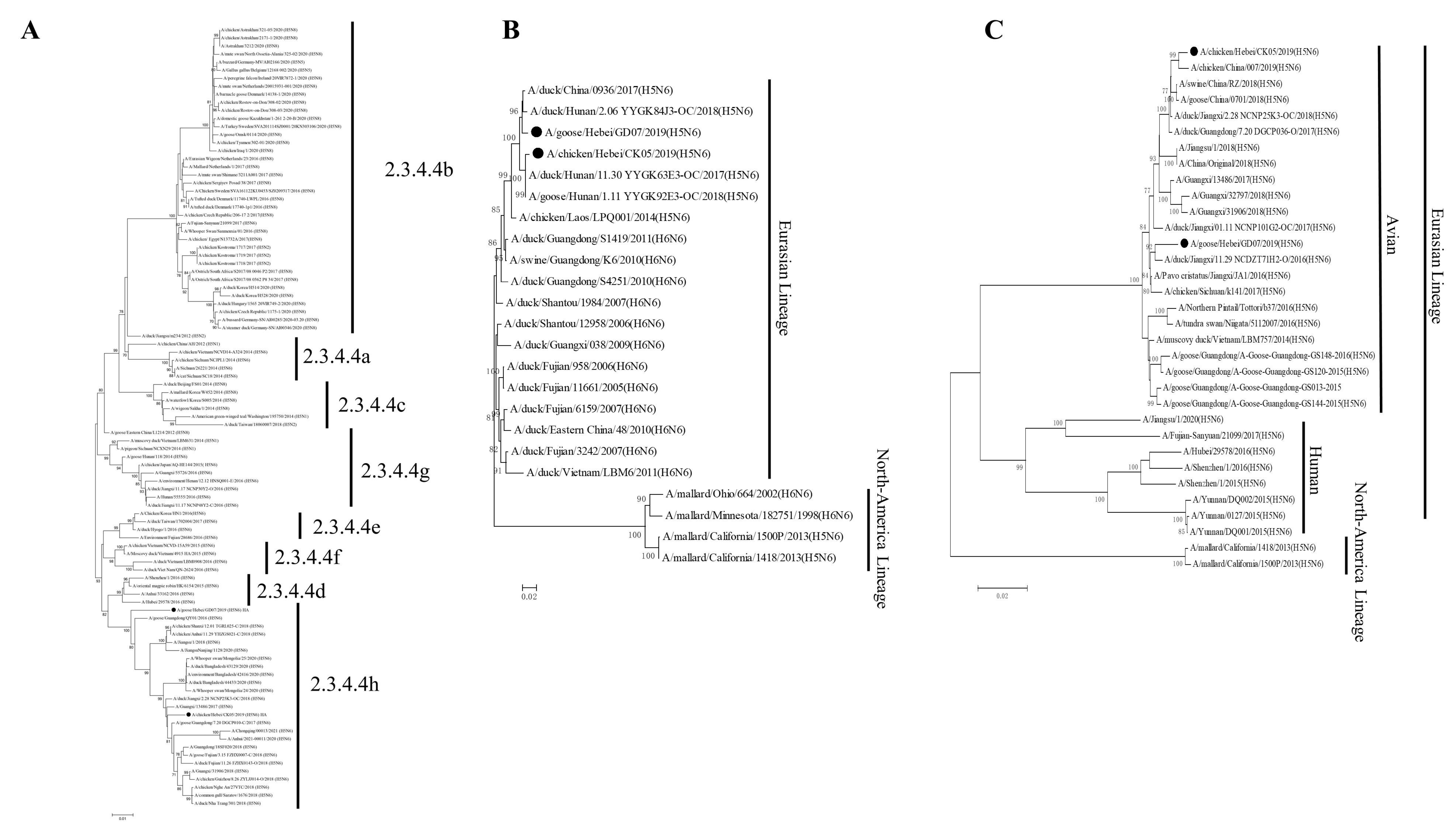 Viruses 14 02454 g001